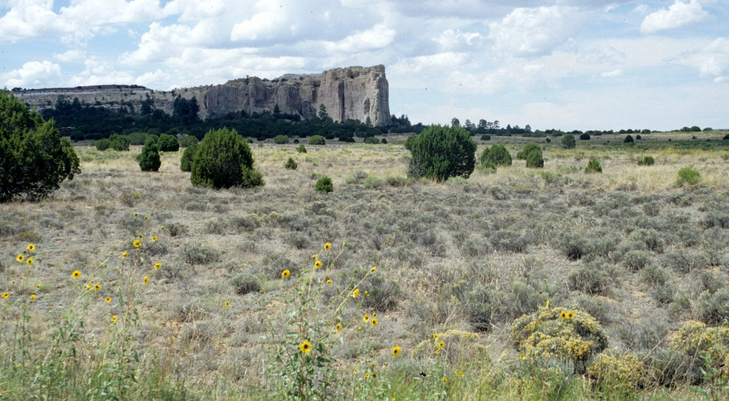 ANASAZILAND - EL MORRO NATIONAL MONUMENT - NEW MEXICO (2).jpg