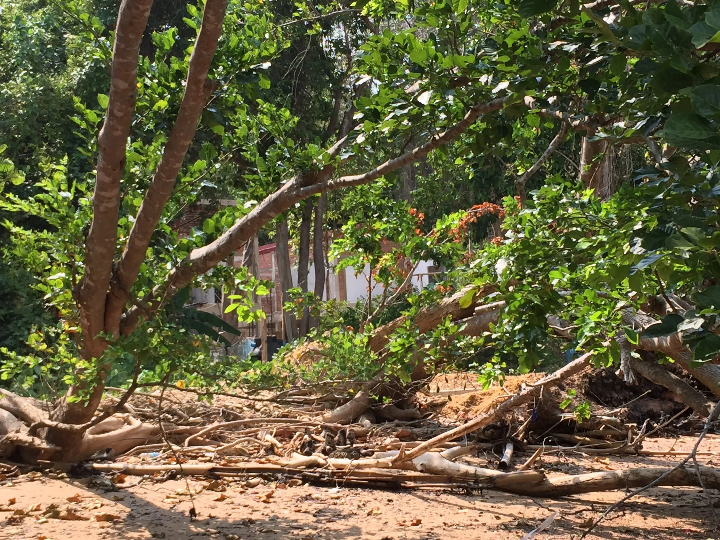 2015 Lanta Project and Scenes (55).JPG