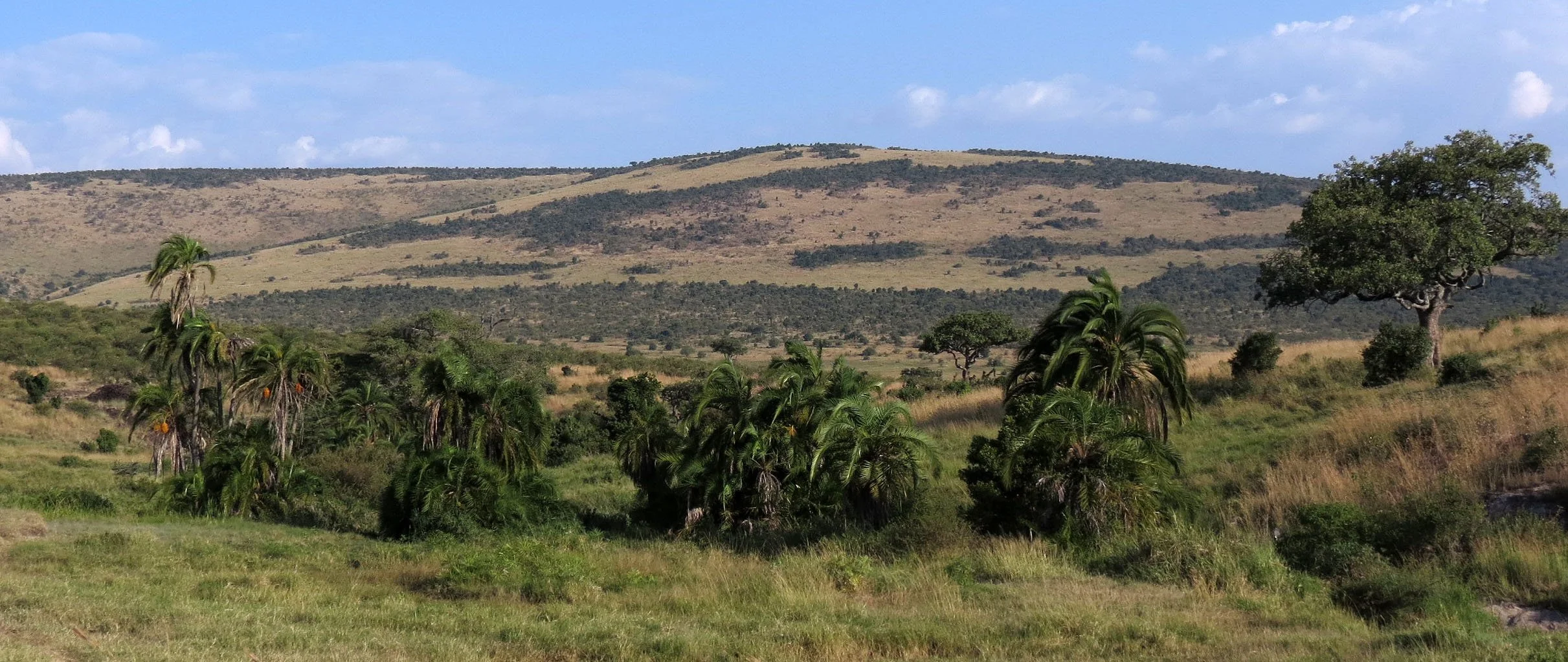 MASAI MARA NATIONAL PARK UGANDA (25).JPG