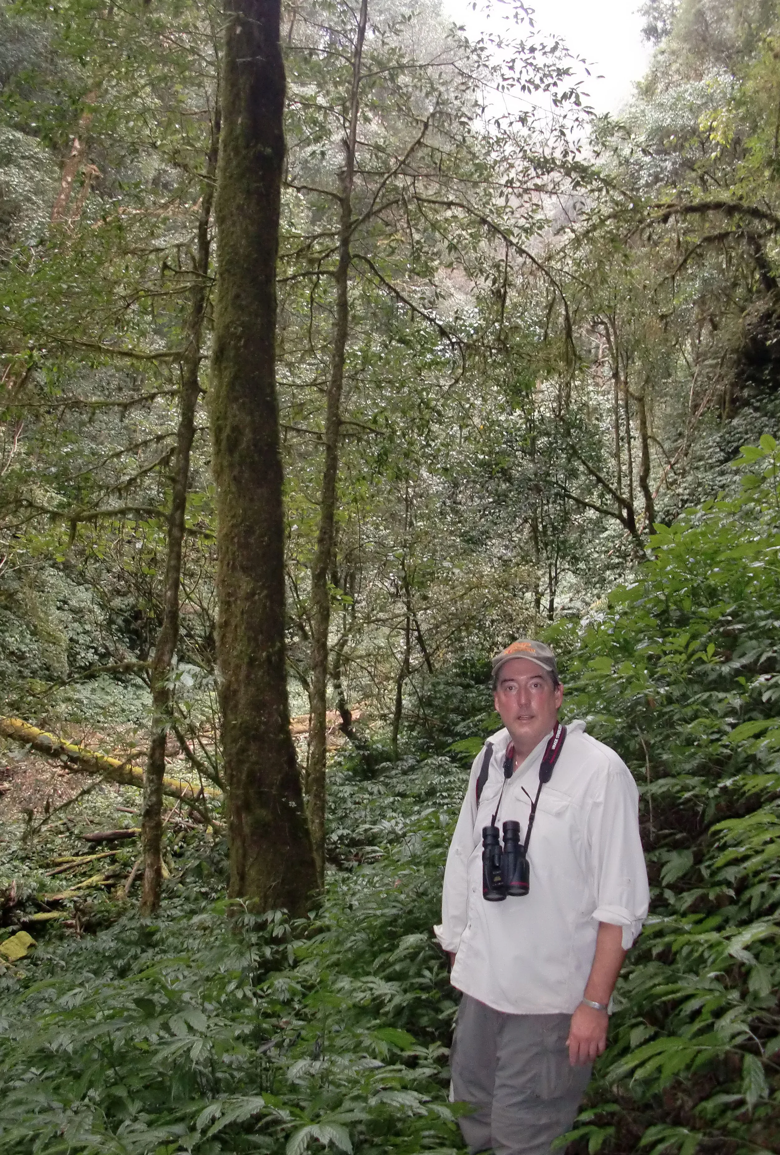 YUNNAN - WULIANGSHAN NATURE RESERVE AND SURROUNDING MOUNTAINS (41).JPG