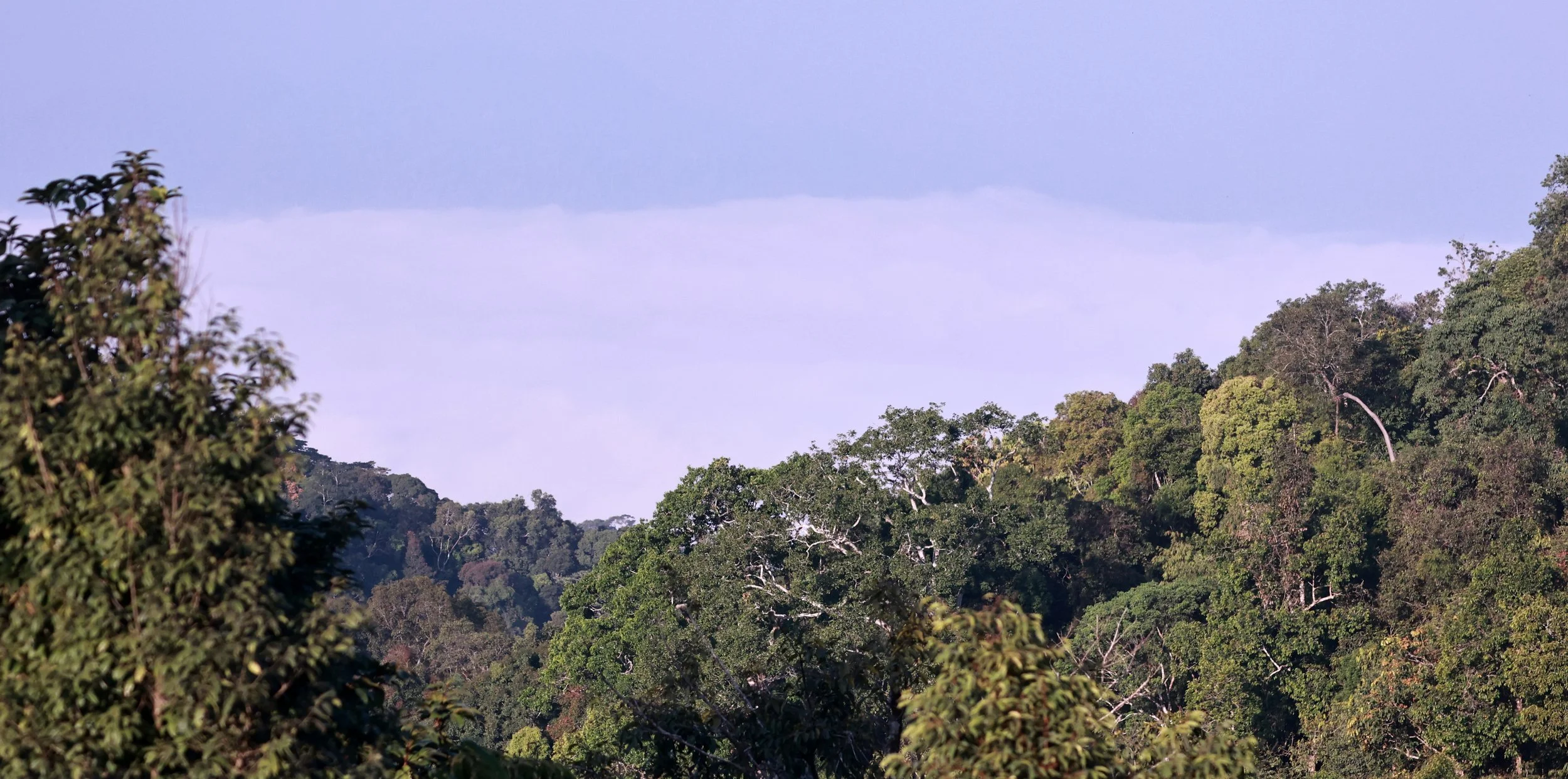 Thale Mog - "Sea of Fog" as seen from Phanoen Thung above 1500m