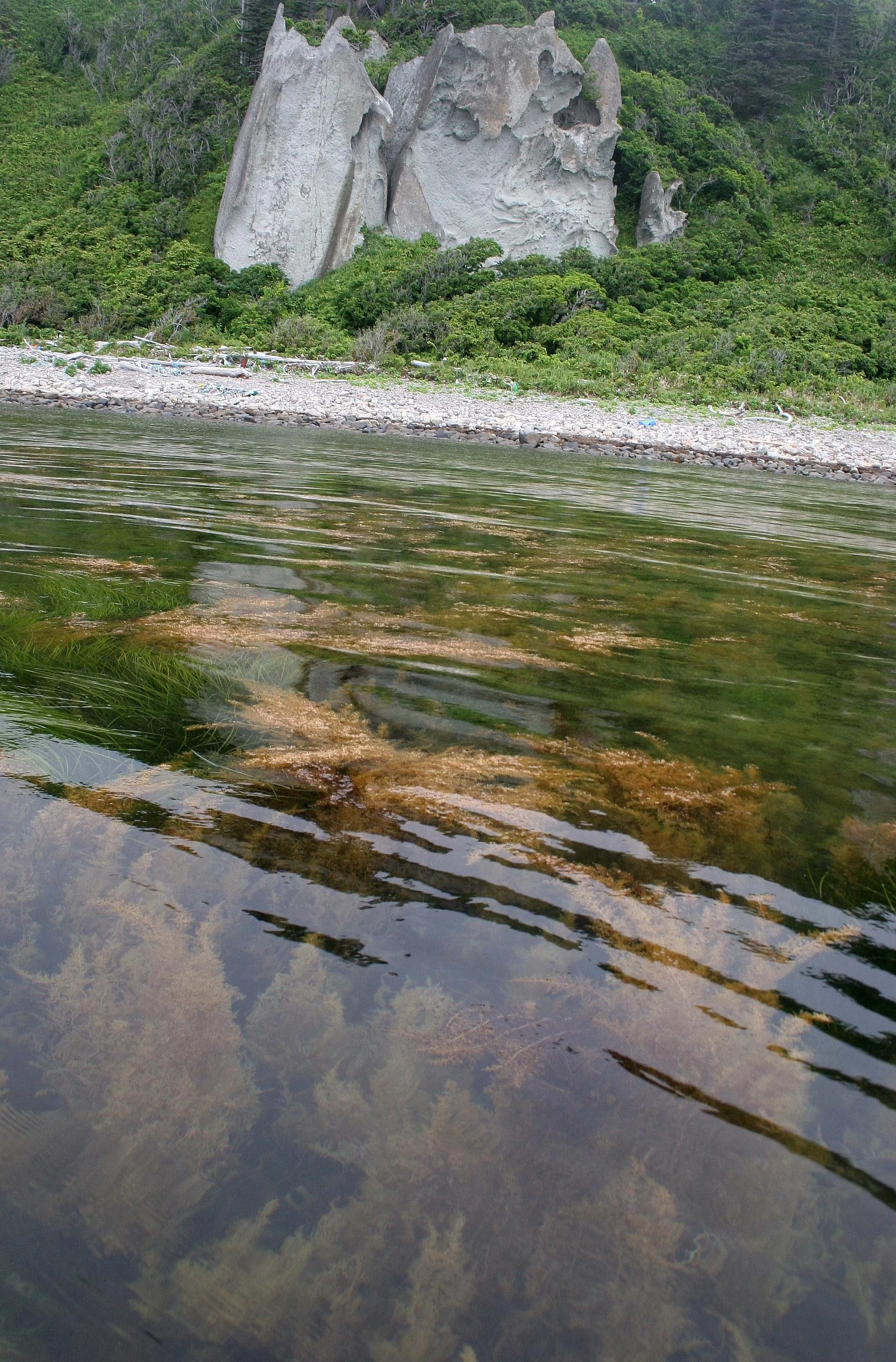 KURIL ISLANDS - FLORA  (64).jpg