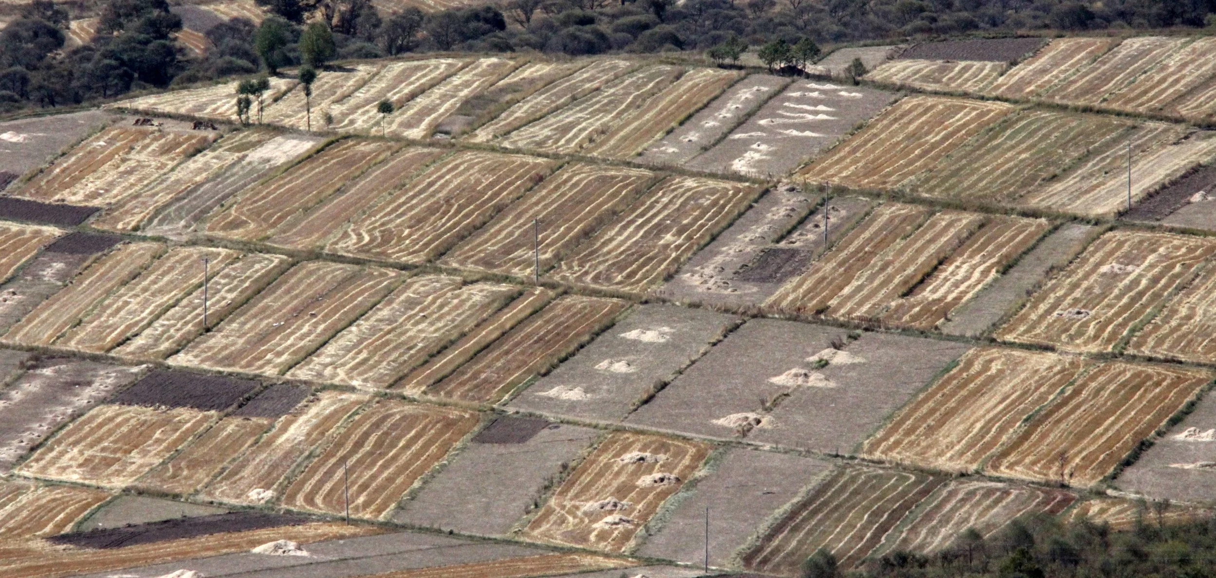 XINGHAI CANYON AND VICINITY CHINA (24).JPG