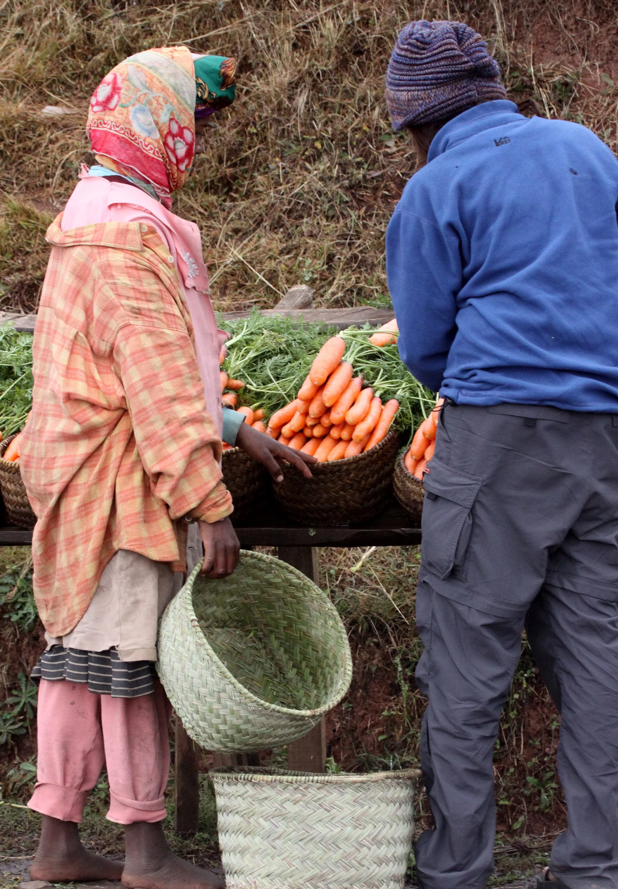 CENTRAL HIGHLANDS - ROAD TO RANOMAFANA (37).JPG