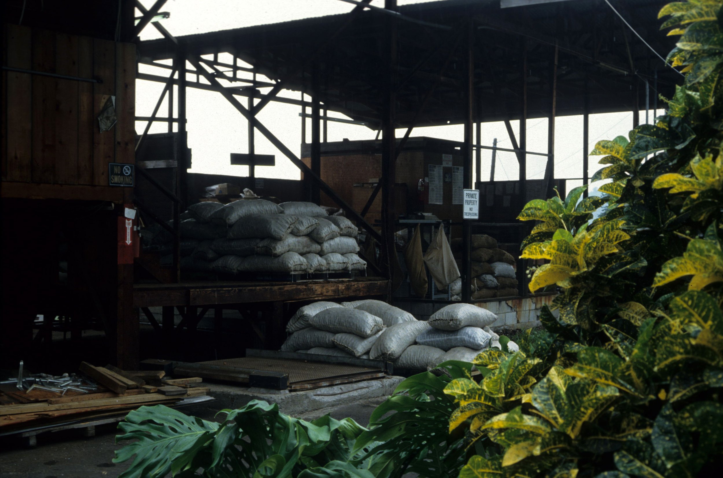 HAWAII - HAWAII - COFFEA ARABICA.jpg
