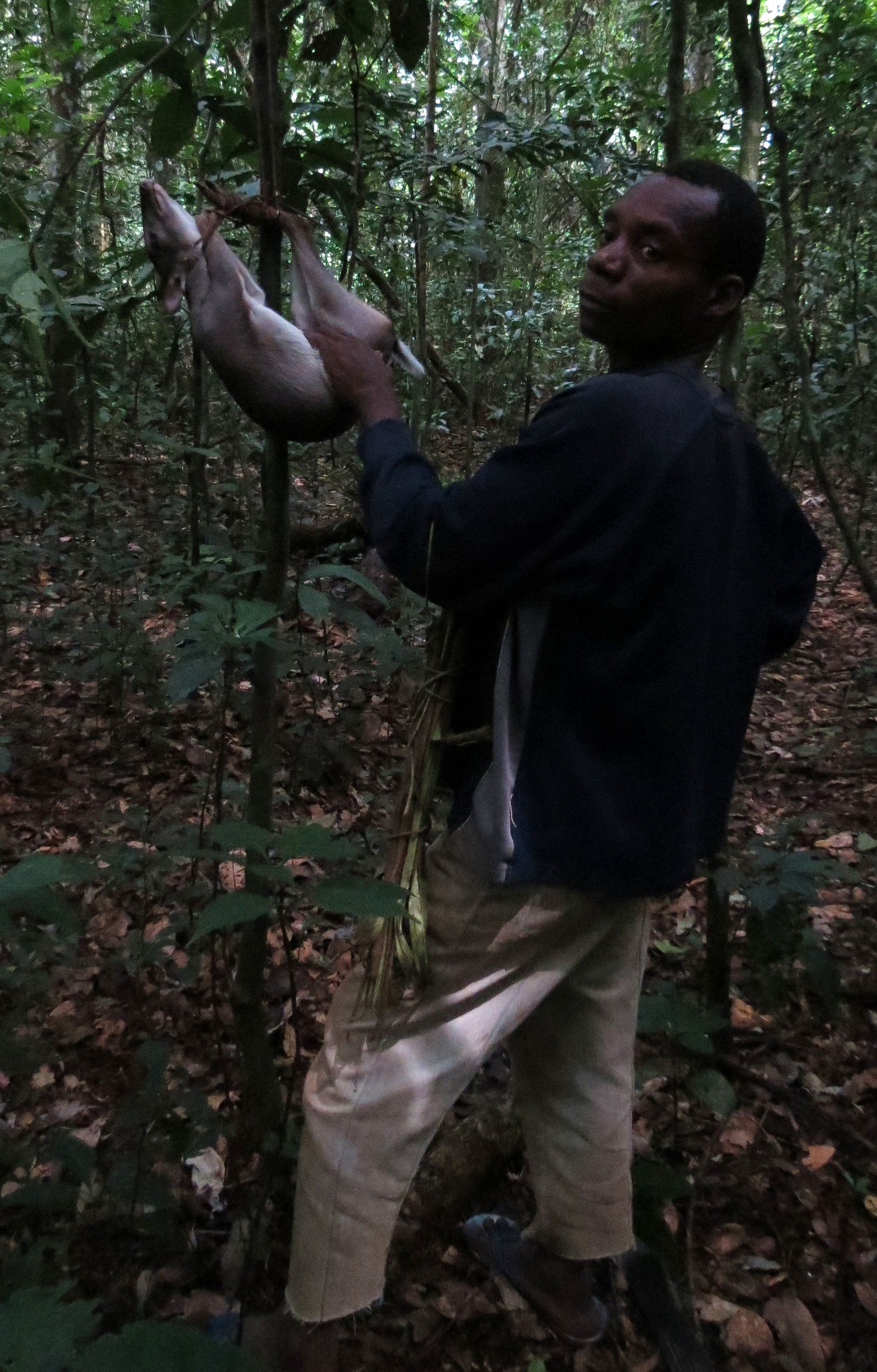 SANGHA RESERVE - BA'AKA HUNT - CENTRAL AFRICAN REPUBLIC (46).JPG