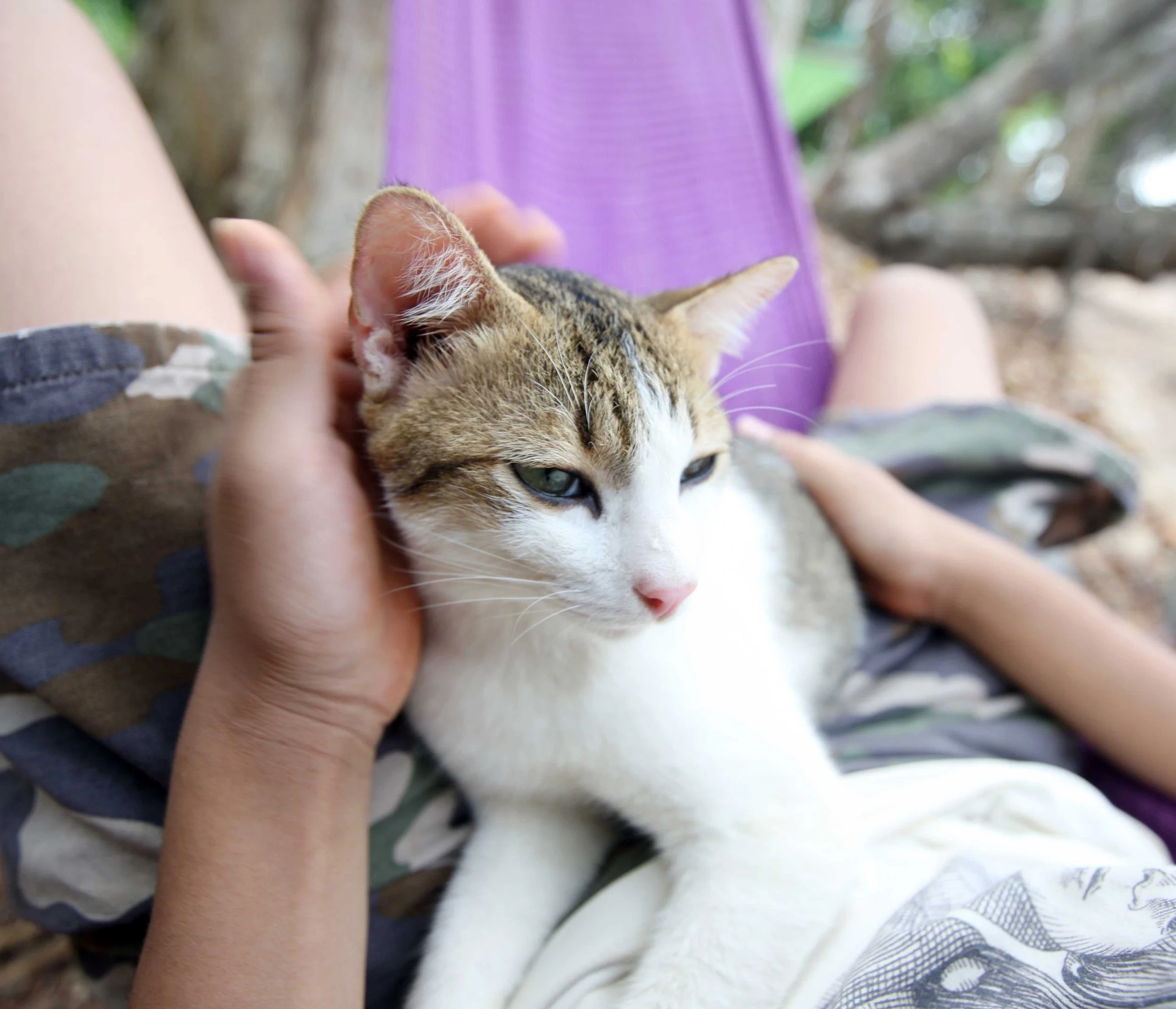 2015 Koh Lanta Songkran with friends from ISB (100).JPG