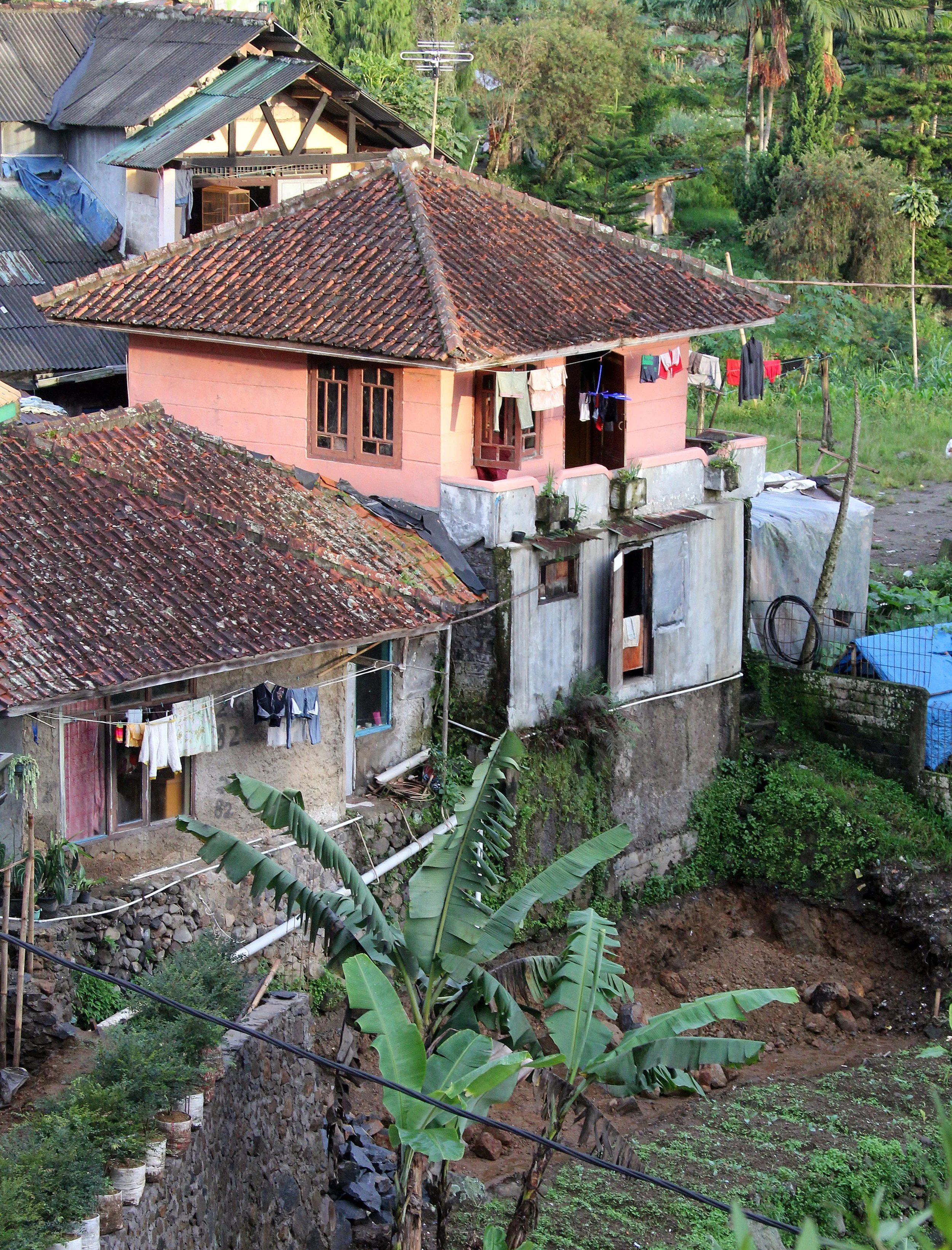 BOGOR - GEDE NATIONAL PARK - JAVA BARA, INDONESIA (3).JPG