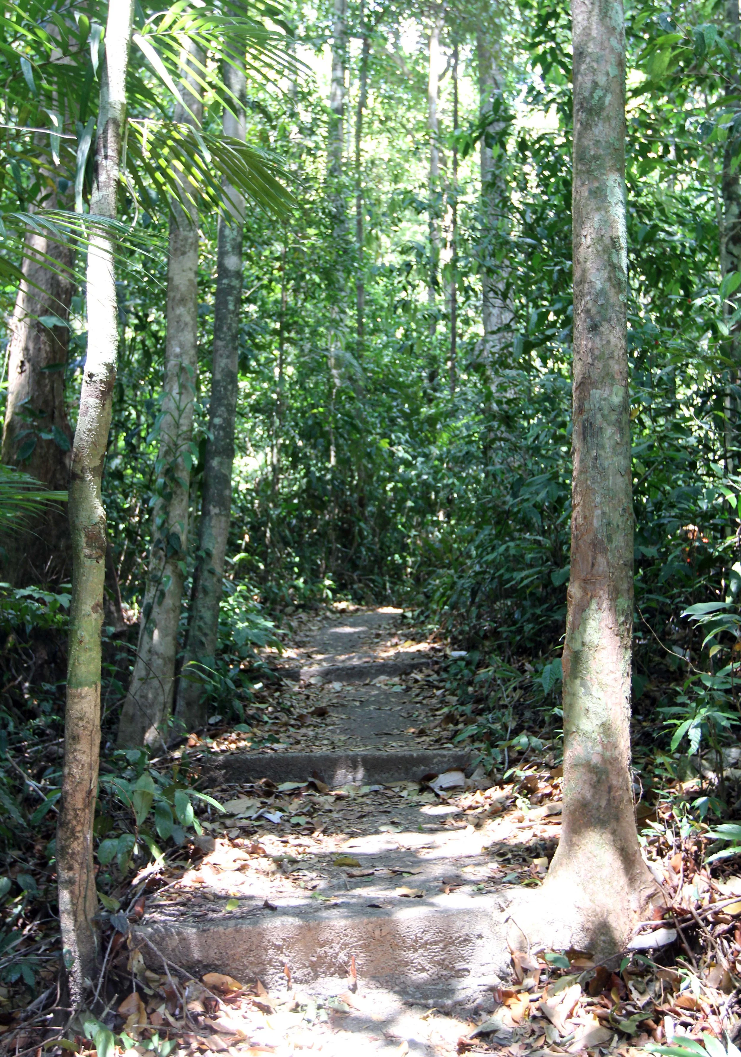 2014 ISB Trip to Tonte Falls in Trang (27).JPG