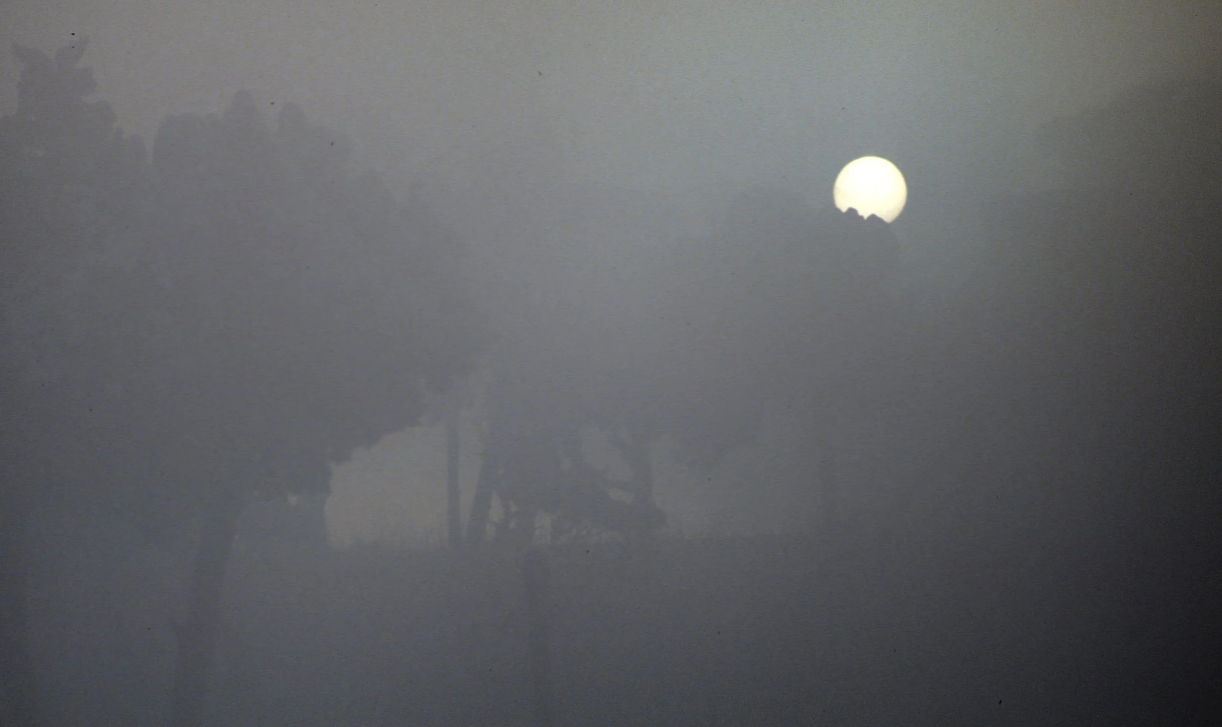 YELLOWSTONE IN WINTER - SUNRISE.jpg