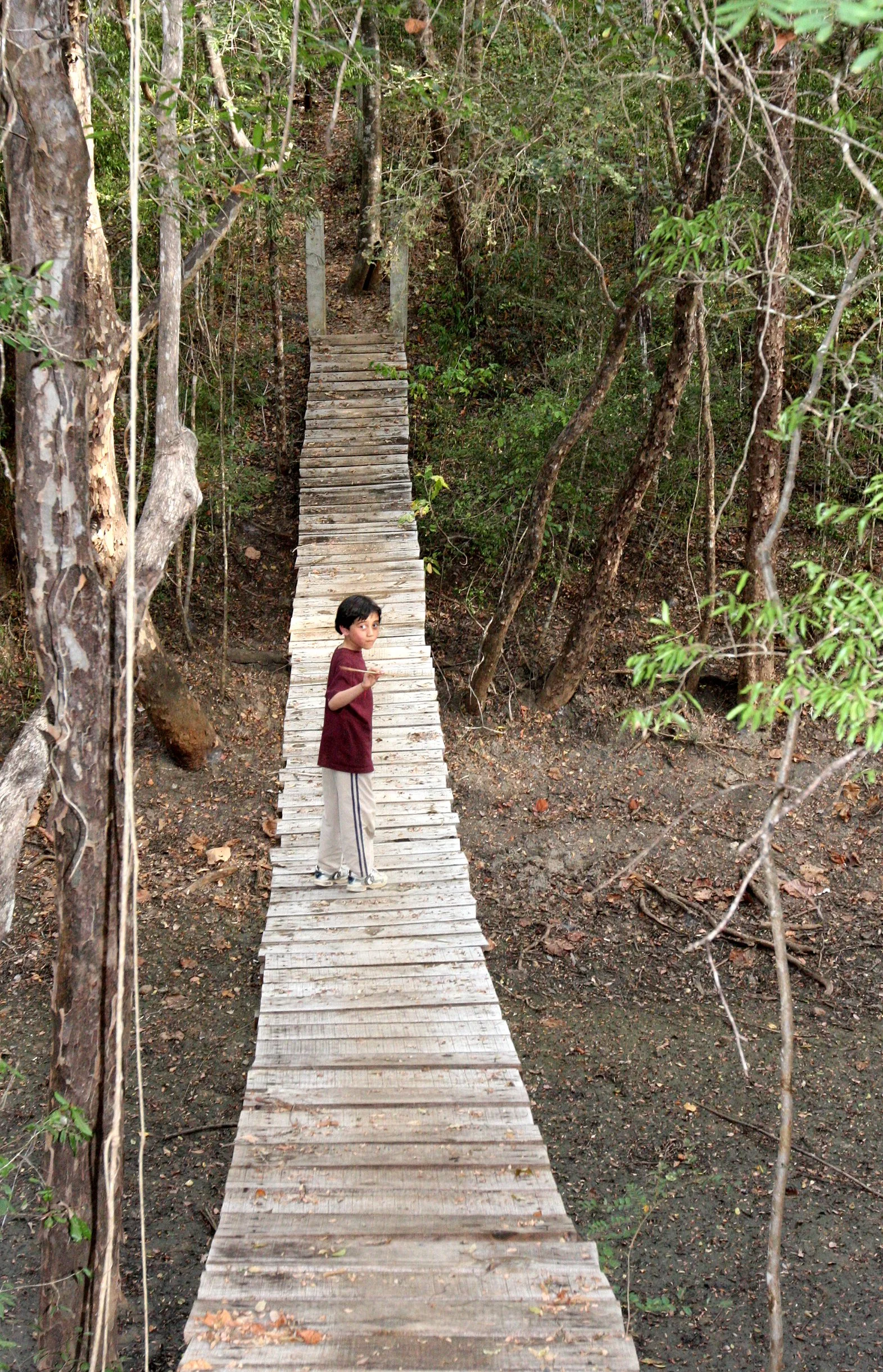 KIRINDY NATIONAL PARK MADAGASCAR - TREKKING THE FOREST (9).JPG
