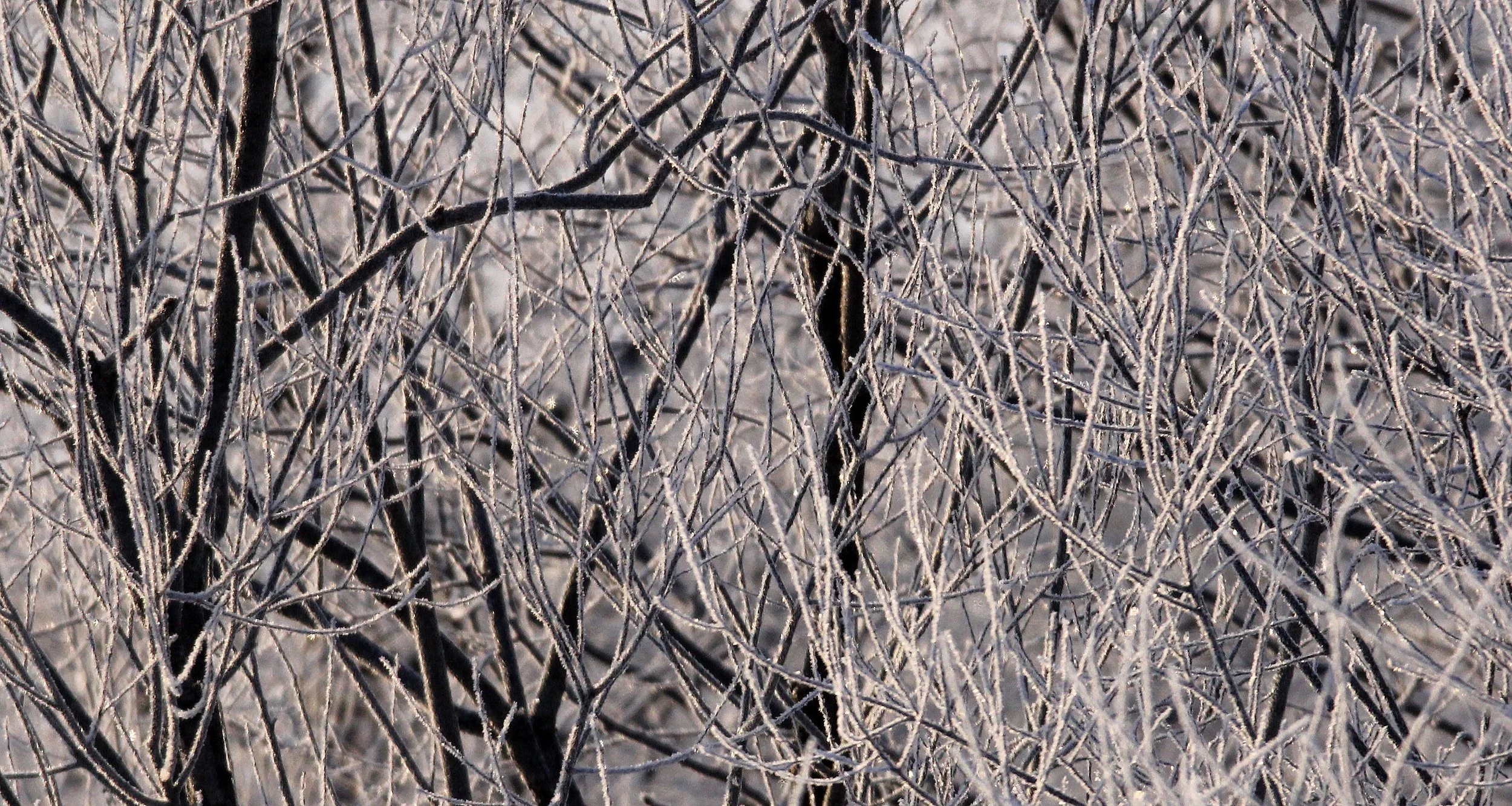 OTOWABASHI - TSURUI TOWN - HOKKAIDO JAPAN (2).JPG