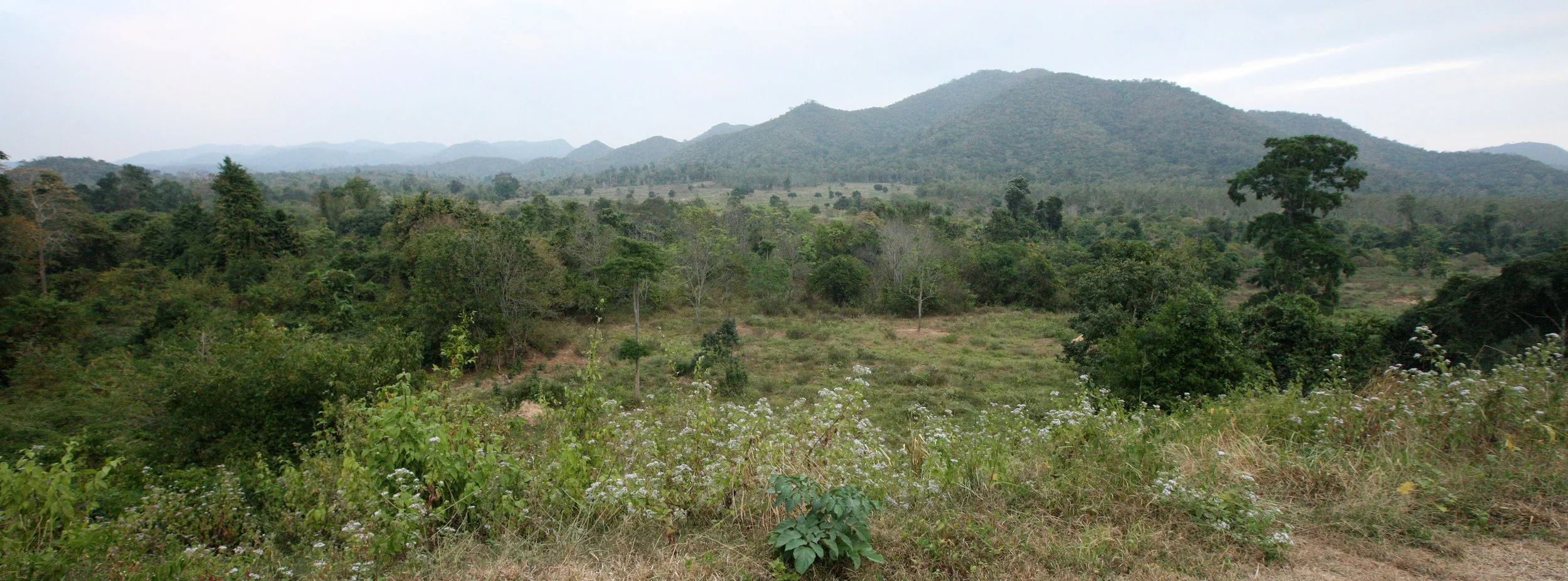 2008 Khao Luang NP Krung Chin Waterfalls Area (27).JPG
