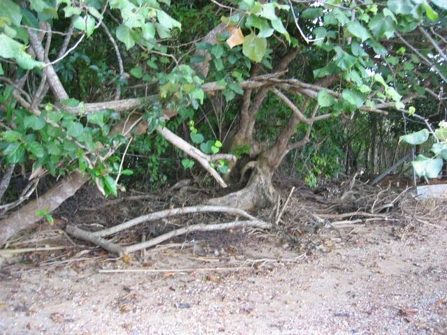 KOH LANTA - PROPERTY - 2005 (75).jpg