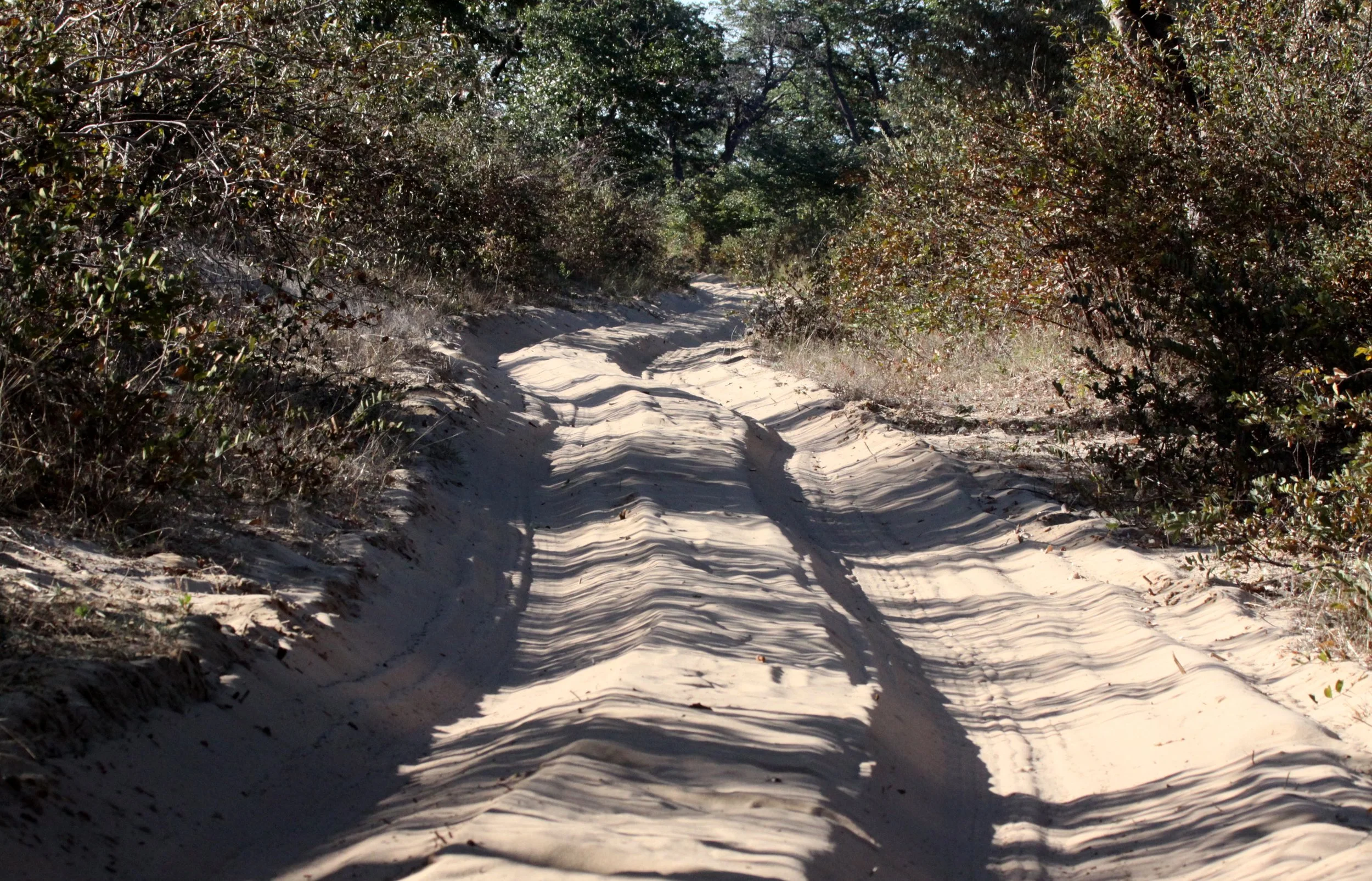 CHOBE NATIONAL PARK BOTSWANA - ROAD HELL - SAND AND ELEPHANTS (6).JPG