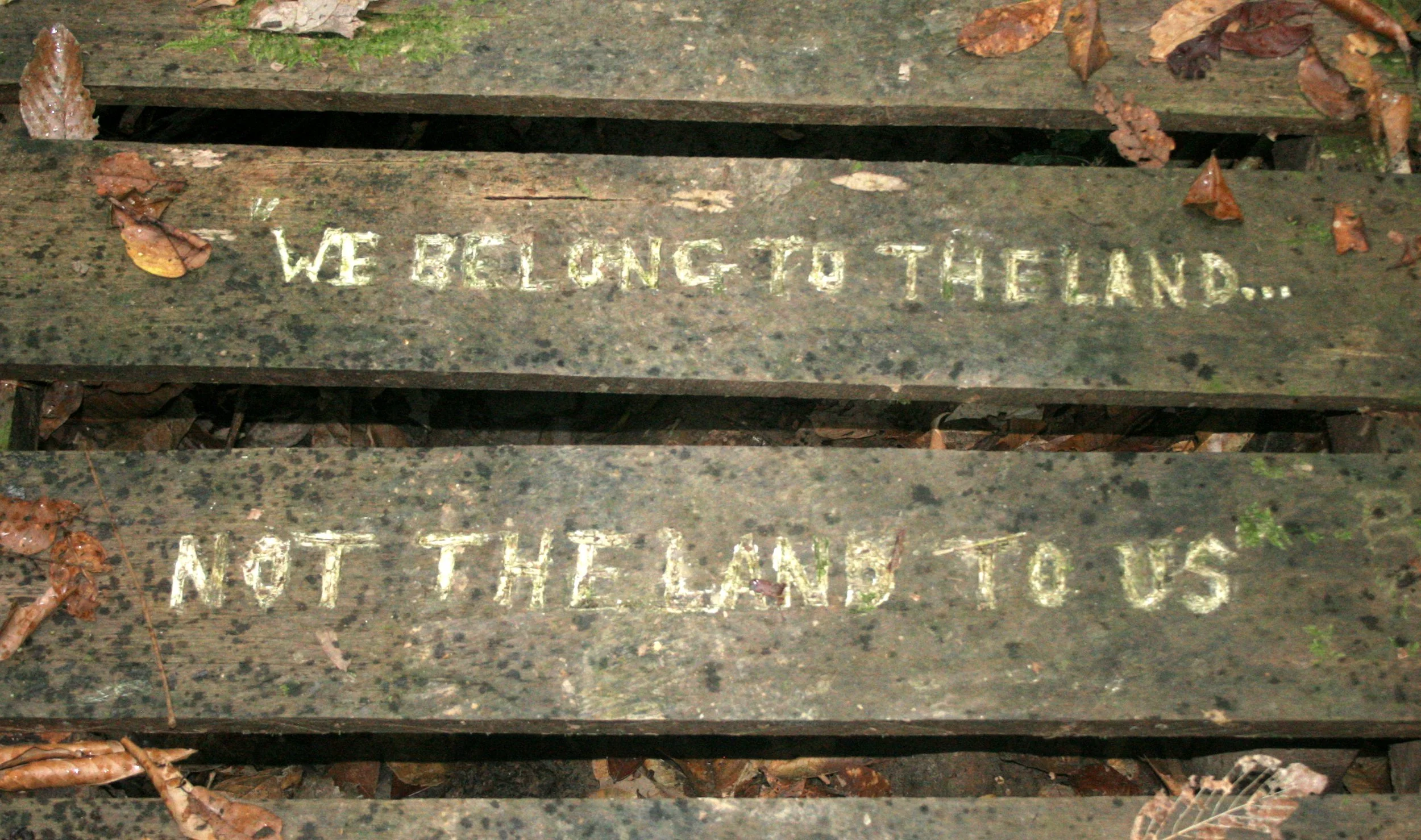 DANUM VALLEY BORNEO - ECO MESSAGE.JPG