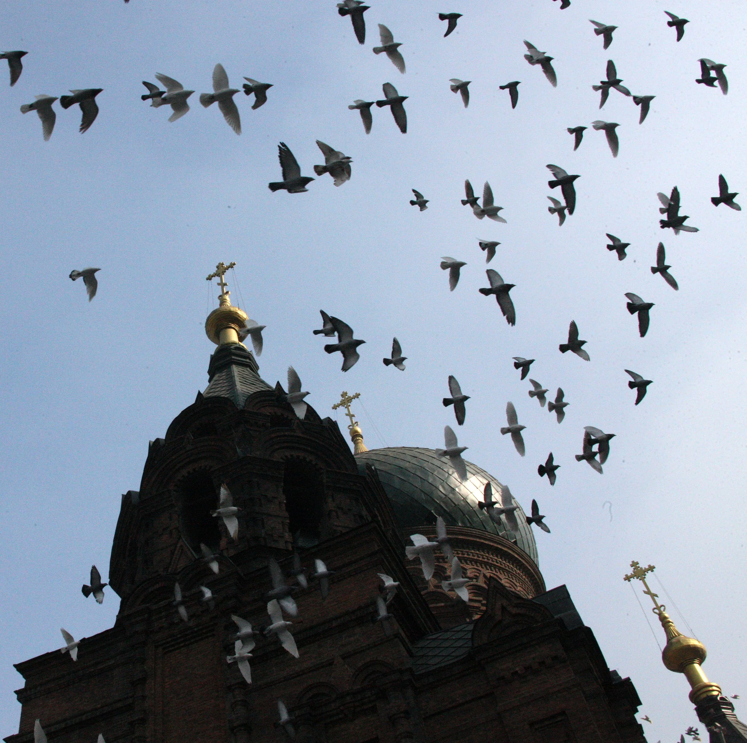 SAINT SOPHIA'S CATHEDRAL HARBIN CHINA (87).JPG