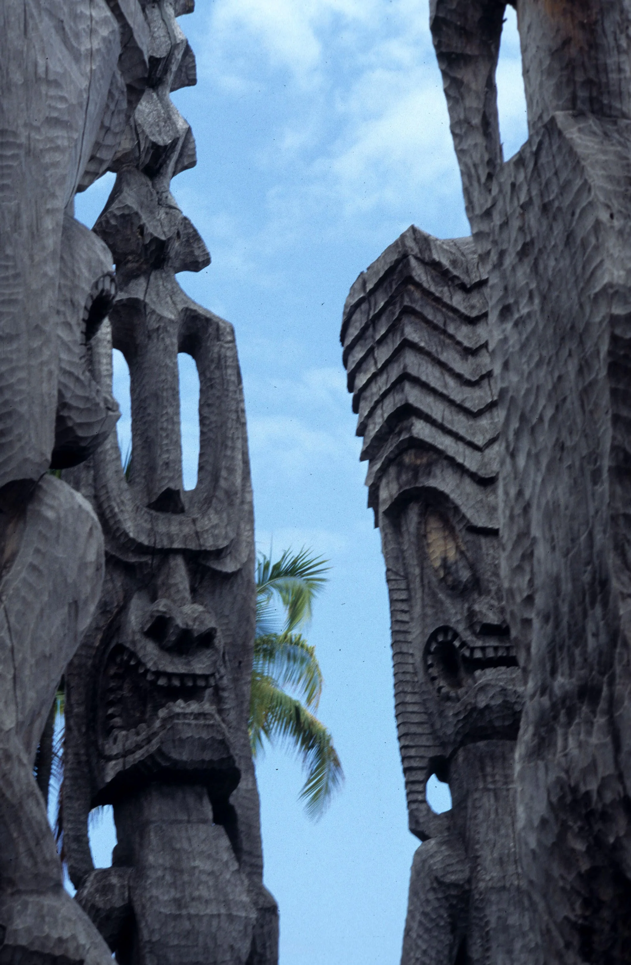 HAWAII - HAWAII - HEIAU STATE PARK.jpg