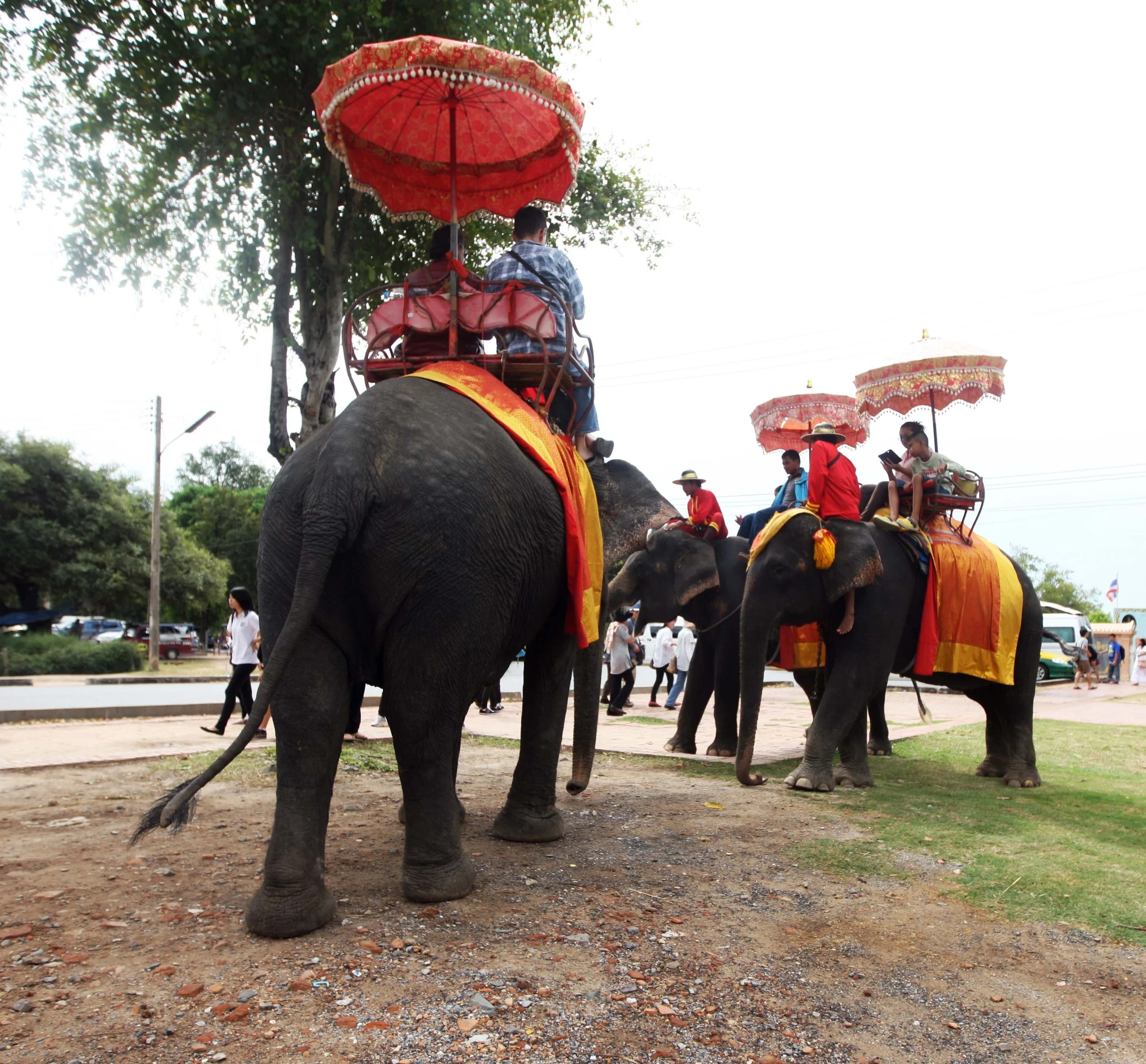 2013 Ayutthaya ISB Passion Day (86).JPG