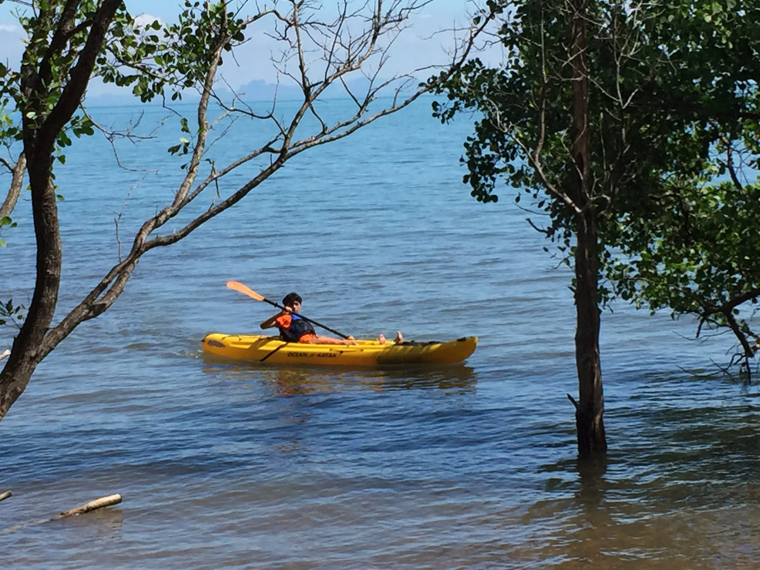 2015 Koh Lanta Garden & Nature (251).JPG