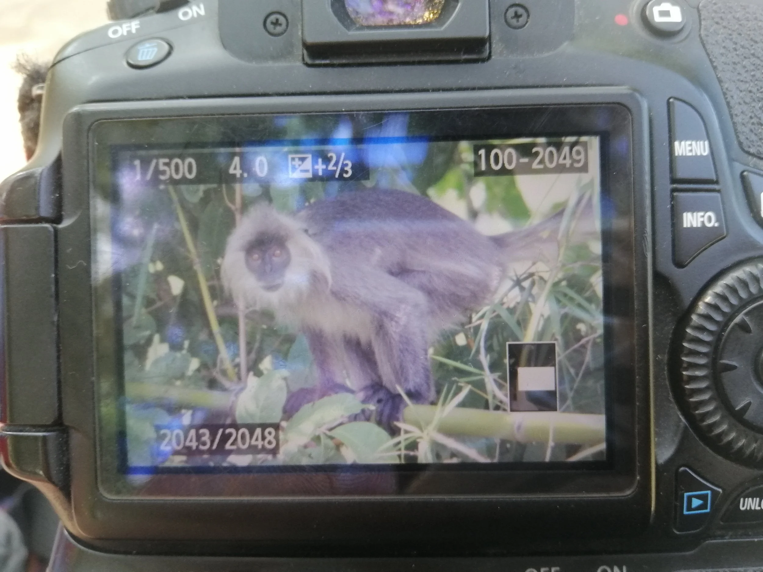2019 Satthahip with Pregnant Gift (16).jpg