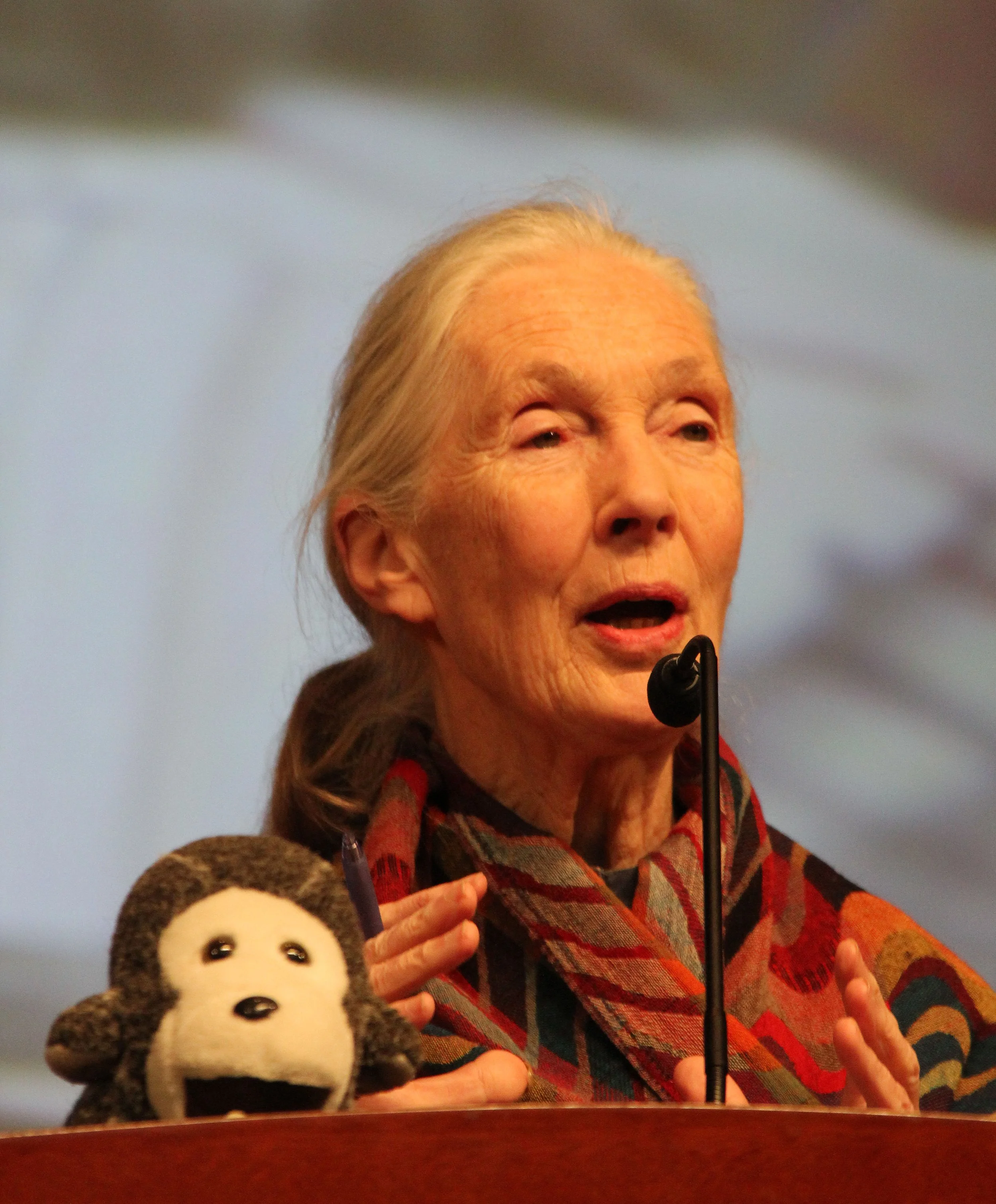 JANE GOODALL 2012 (3).JPG