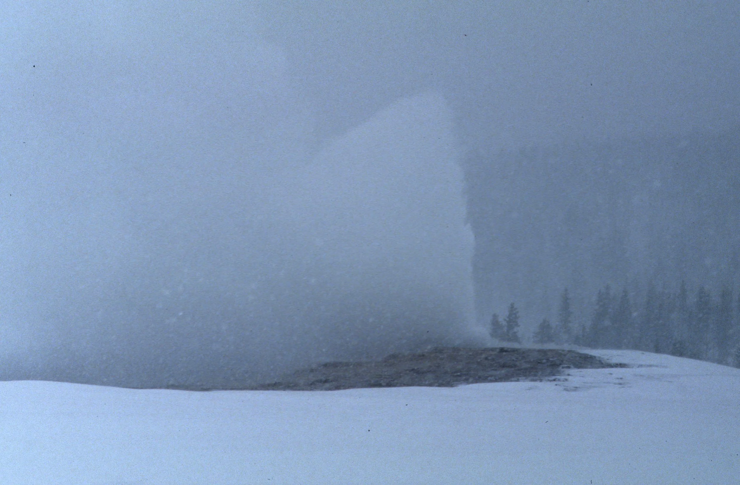 YELLOWSTONE IN WINTER - OLD FAITHFUL.jpg