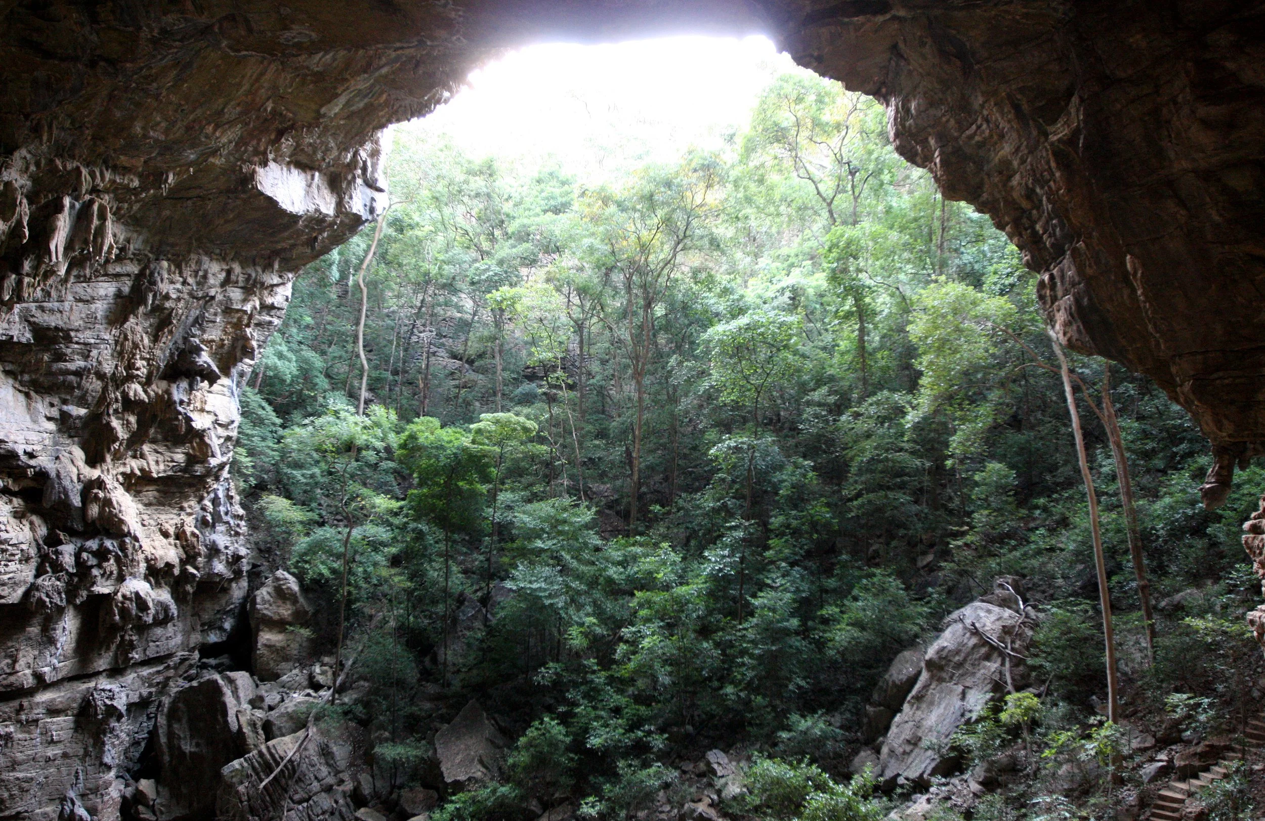 ANKARANA NATIONAL PARK MADAGASCAR - GIANT BAT CAVE (5).JPG