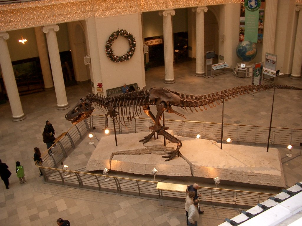 2003-12-25 CHRISTMAS IN CHICAGO (47).JPG