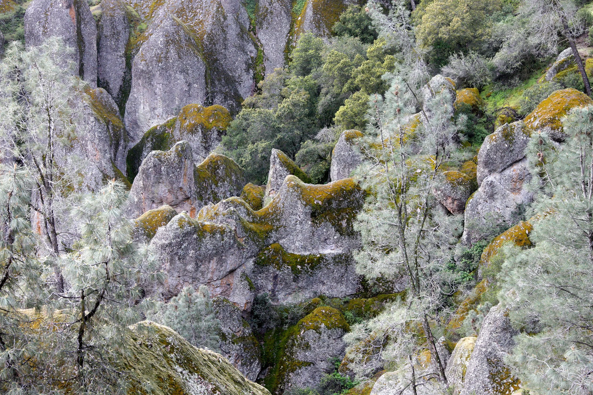 PINNACLES NATIONAL MONUMENT CALIFORNIA - VIEWS OF THE REGION (25).JPG