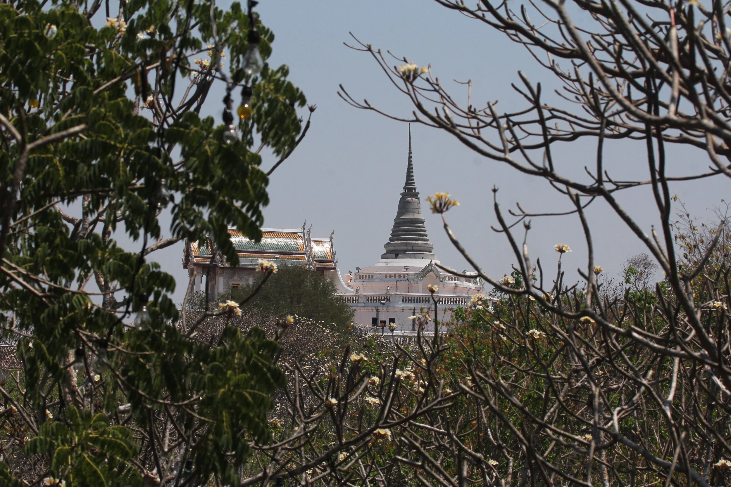 2020 Petchaburi Temple Trip with Cokie (120).JPG