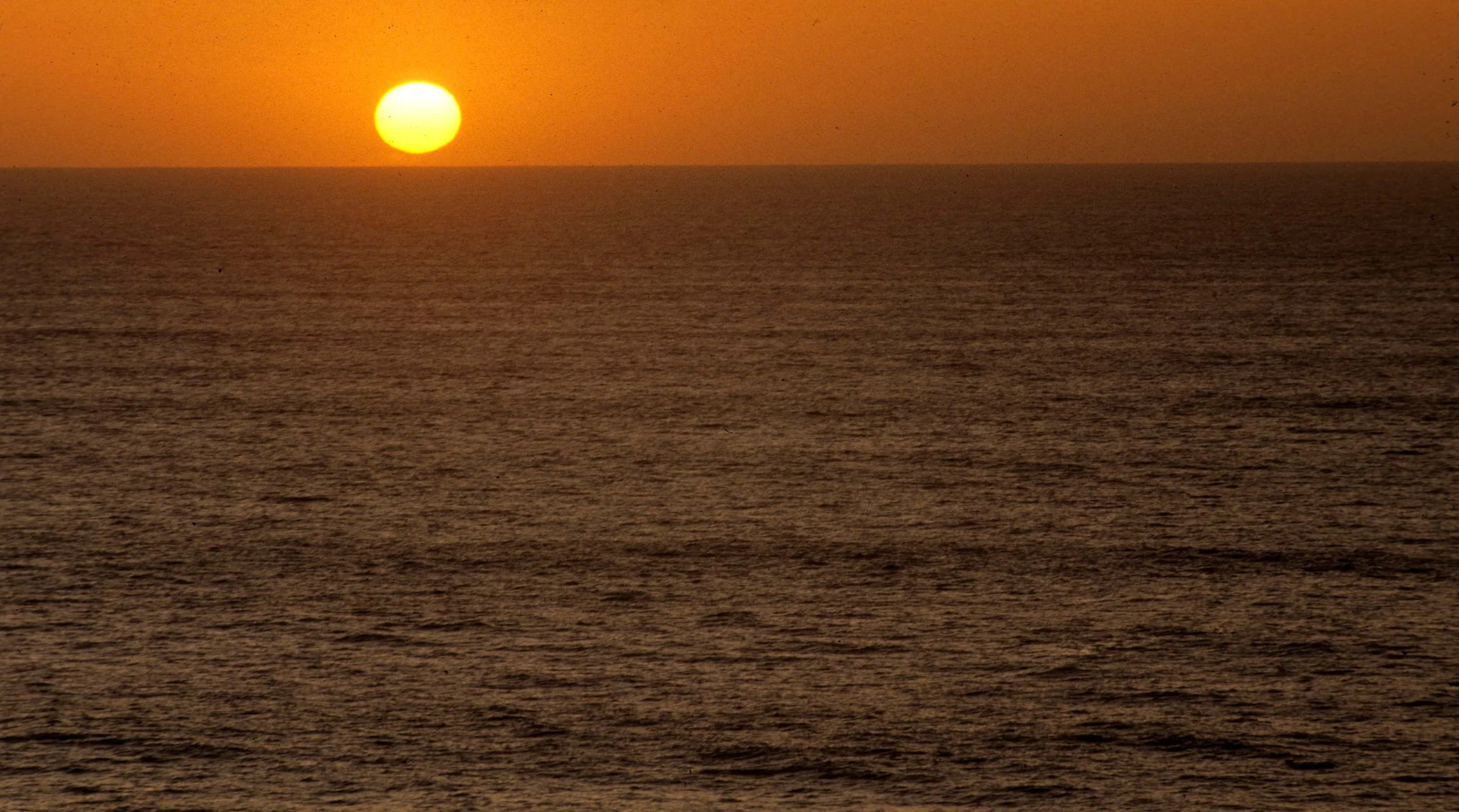 CALIFORNIA - REDWOODS NP - SUNSET (2).jpg