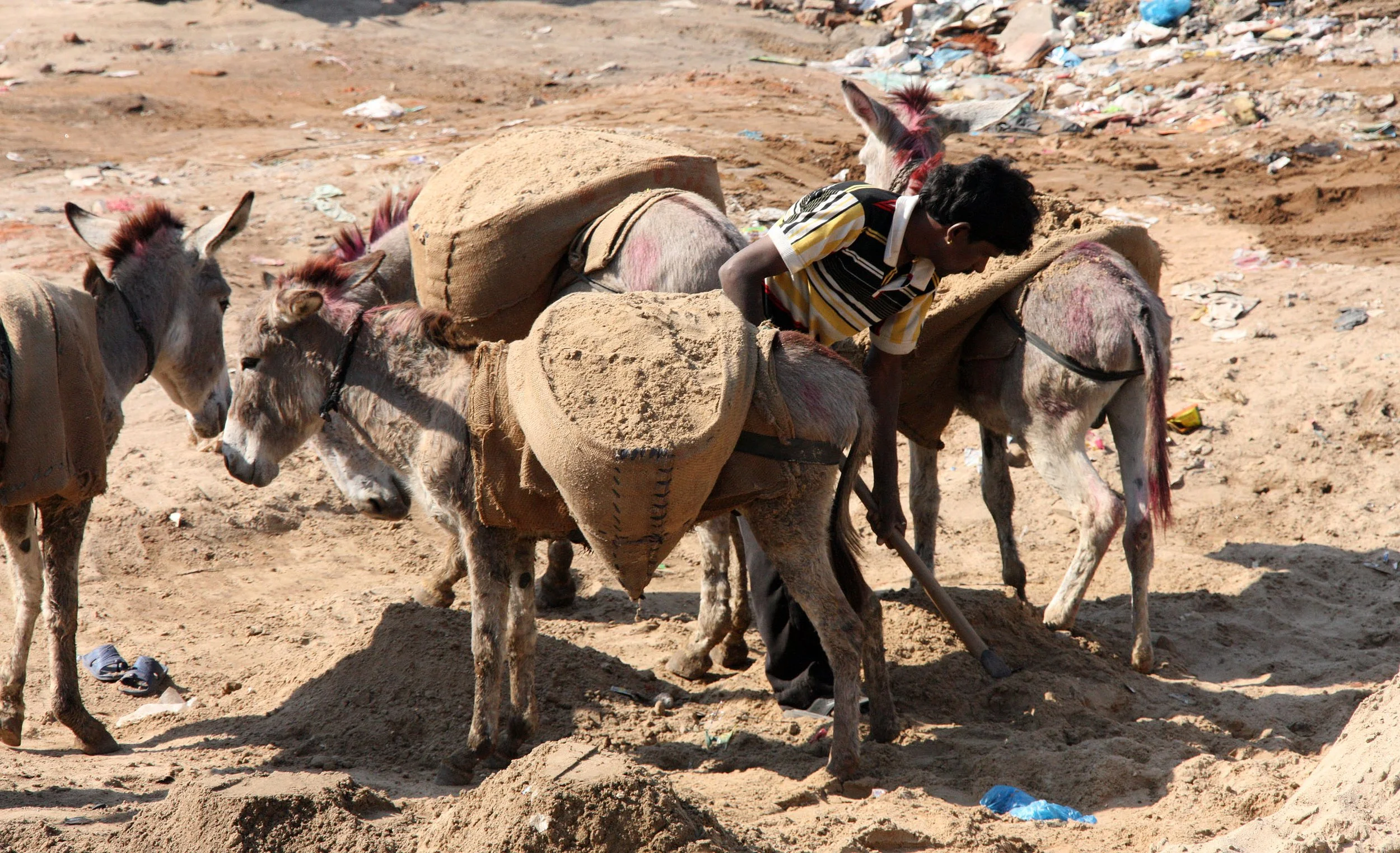 GUJARAT - AHMEDABAD GUJARAT INDIA (1).JPG