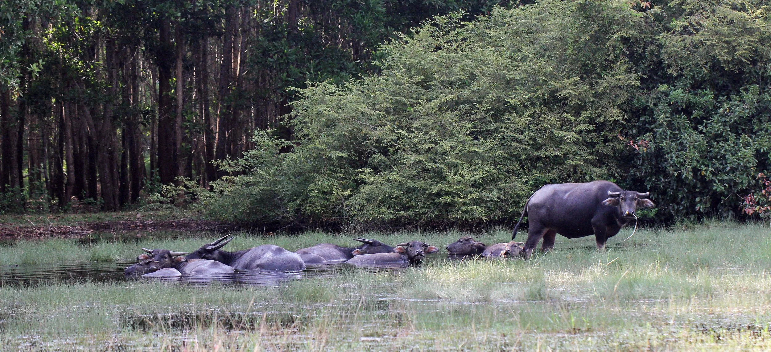 2015 Koh Lanta October Break Trip  (53).JPG