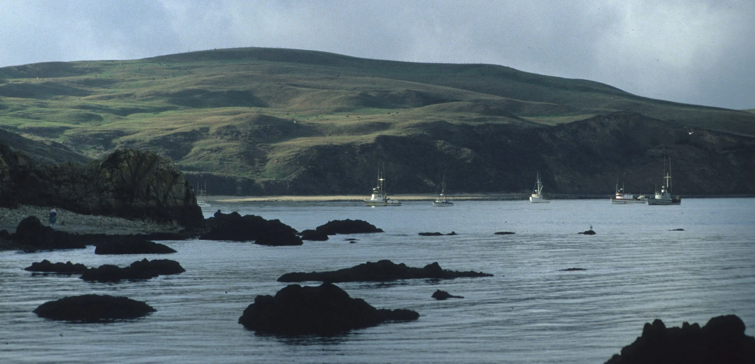 CALIFORNIA - POINT REYES - DRAKES BAY.jpg