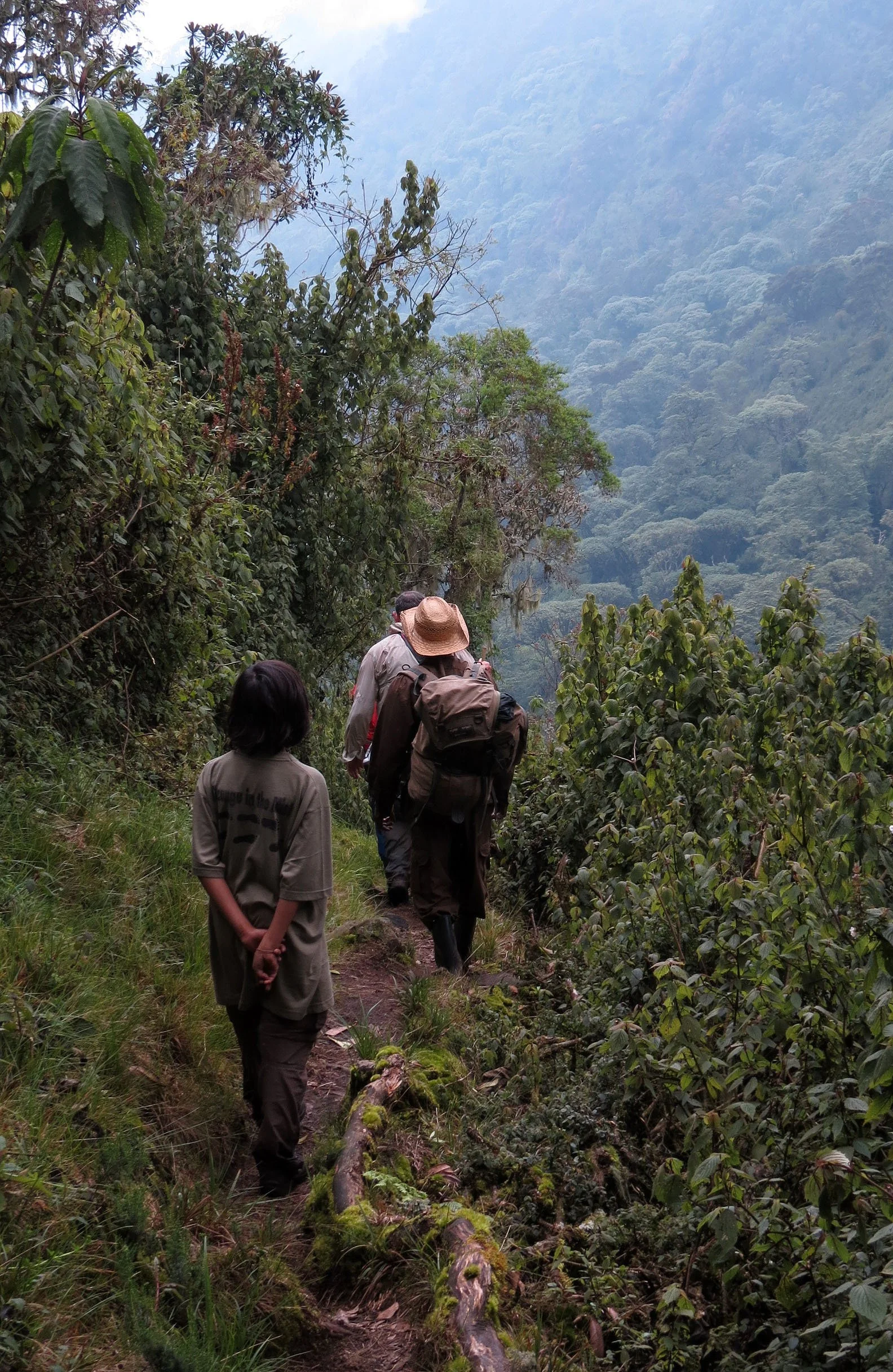 RWENZORI NATIONAL PARK UGANDA (272).JPG