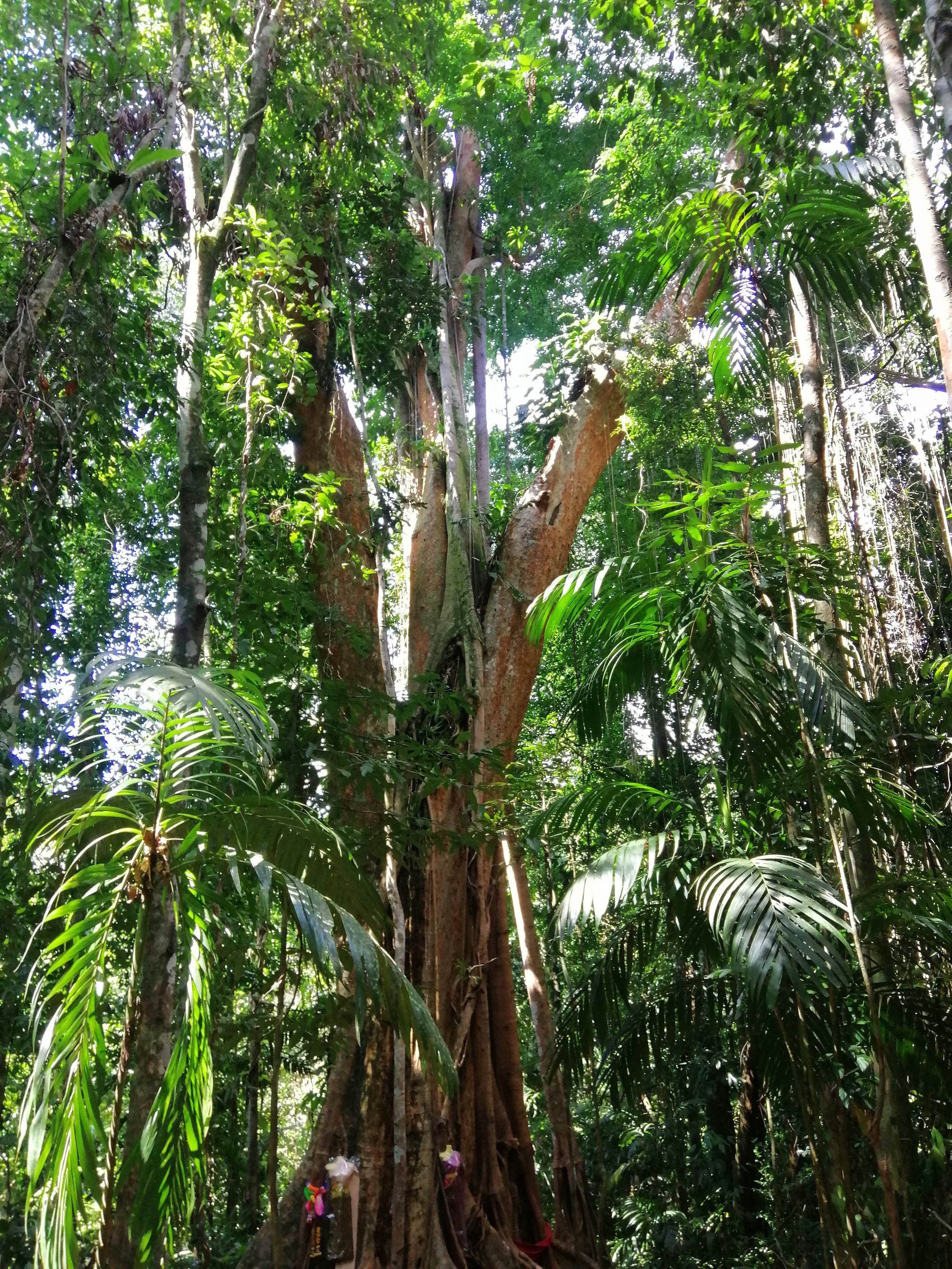 2019 Koh Kood Road Trip (53).jpg