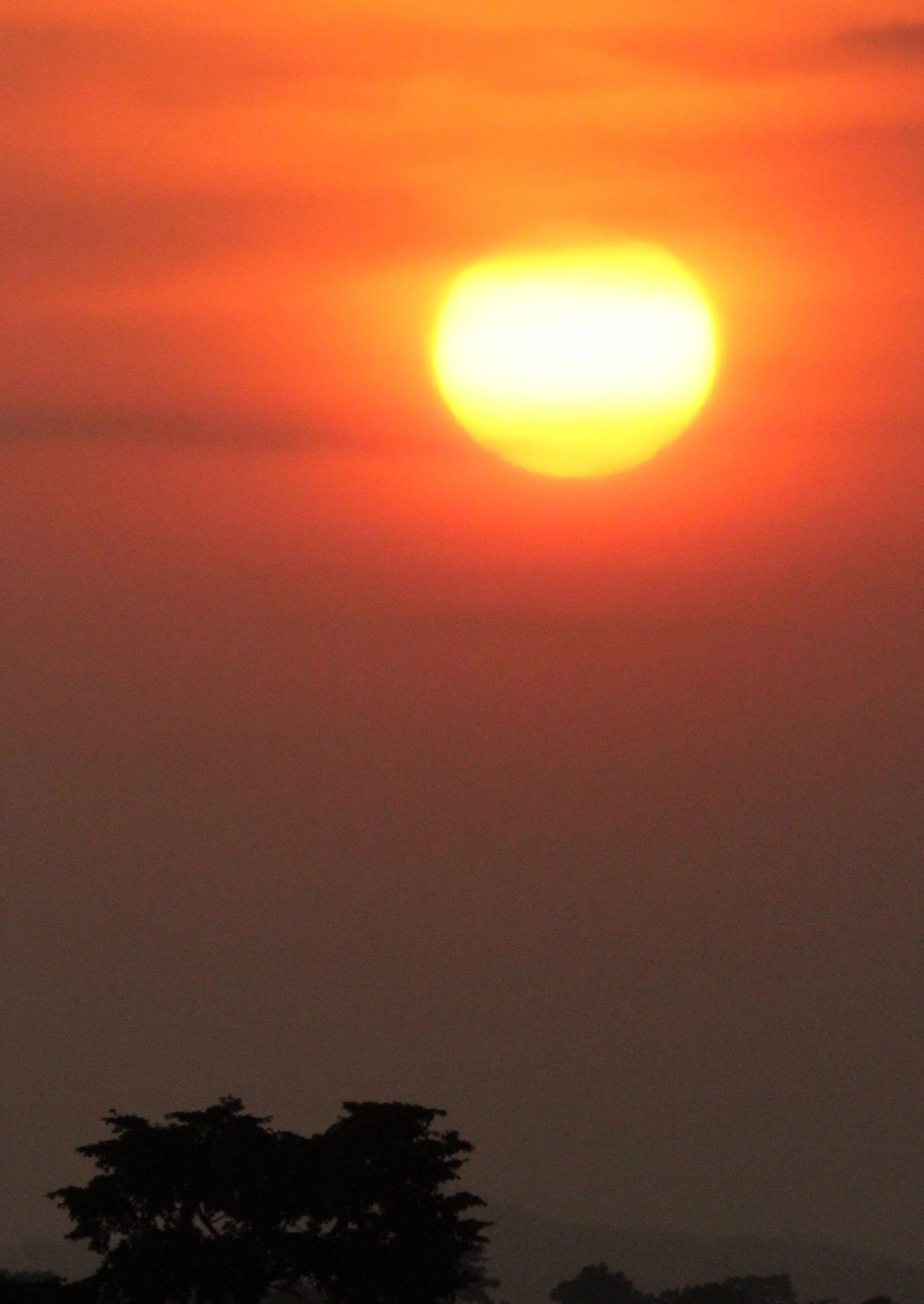 MURCHISON FALLS NATIONAL PARK UGANDA (11).JPG