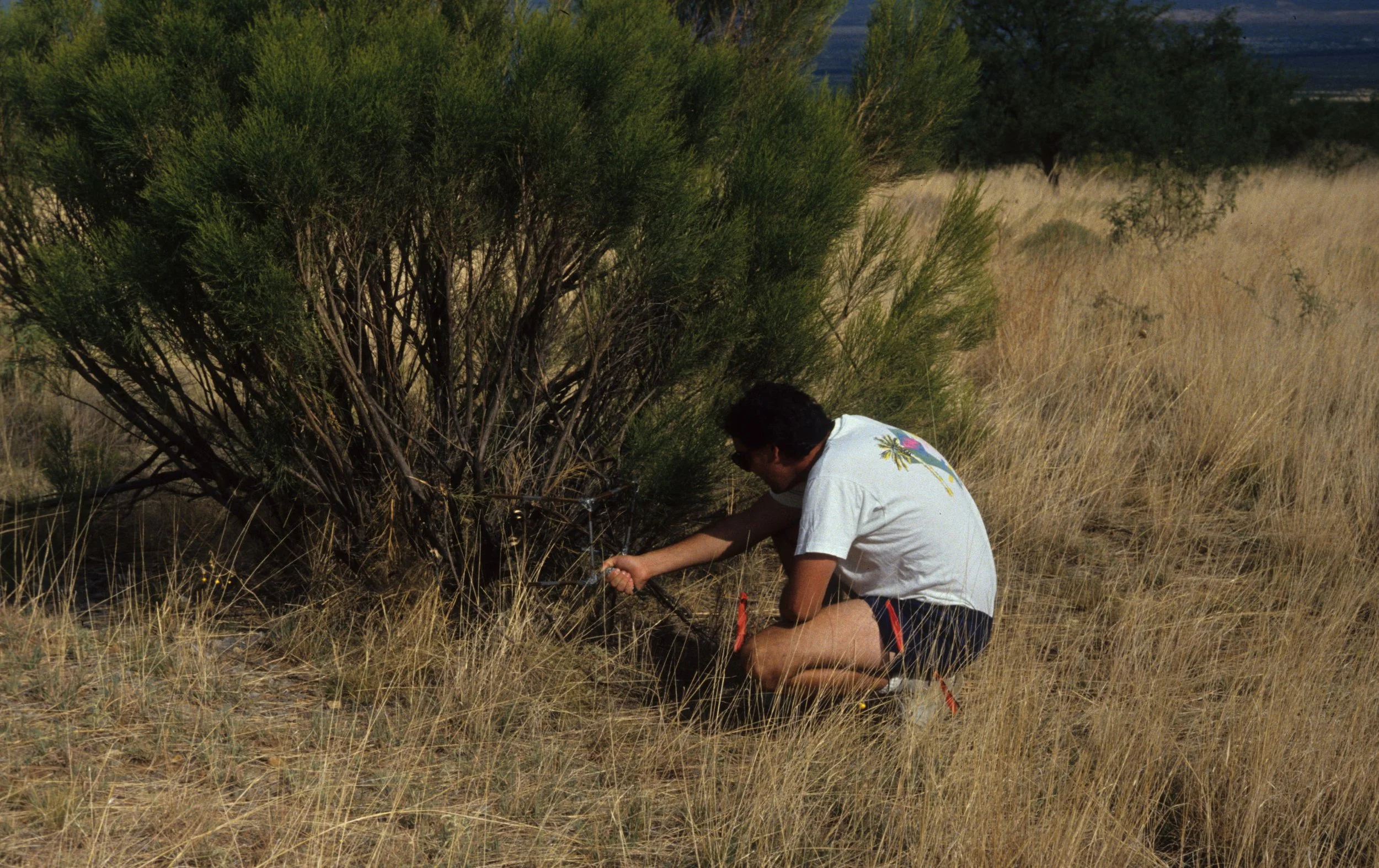 ARIZONA - MADERA CANYON - RESEARCH - DATA COLLECTION B.jpg