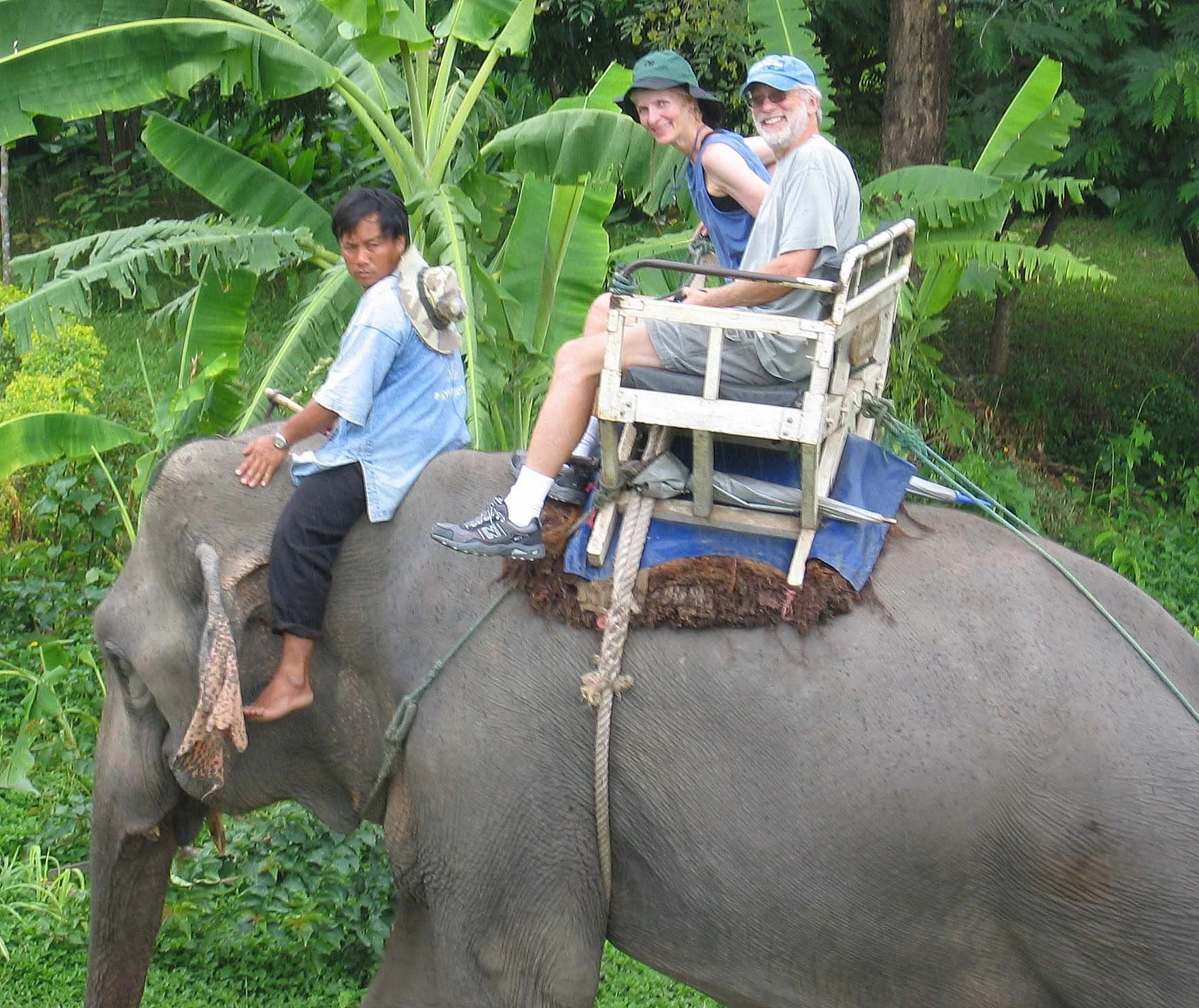2008 Lampang City & Elephant Center (123).jpg