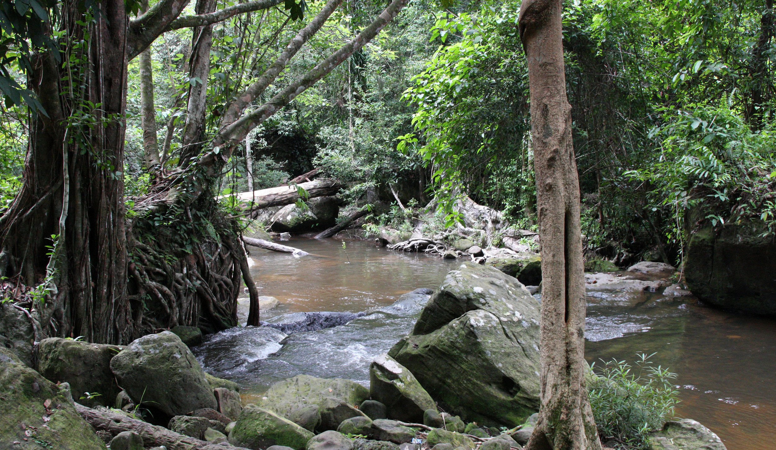 KULEN MOUNTAIN CAMBODIA - 1000 LINGHA RIVER (65).JPG