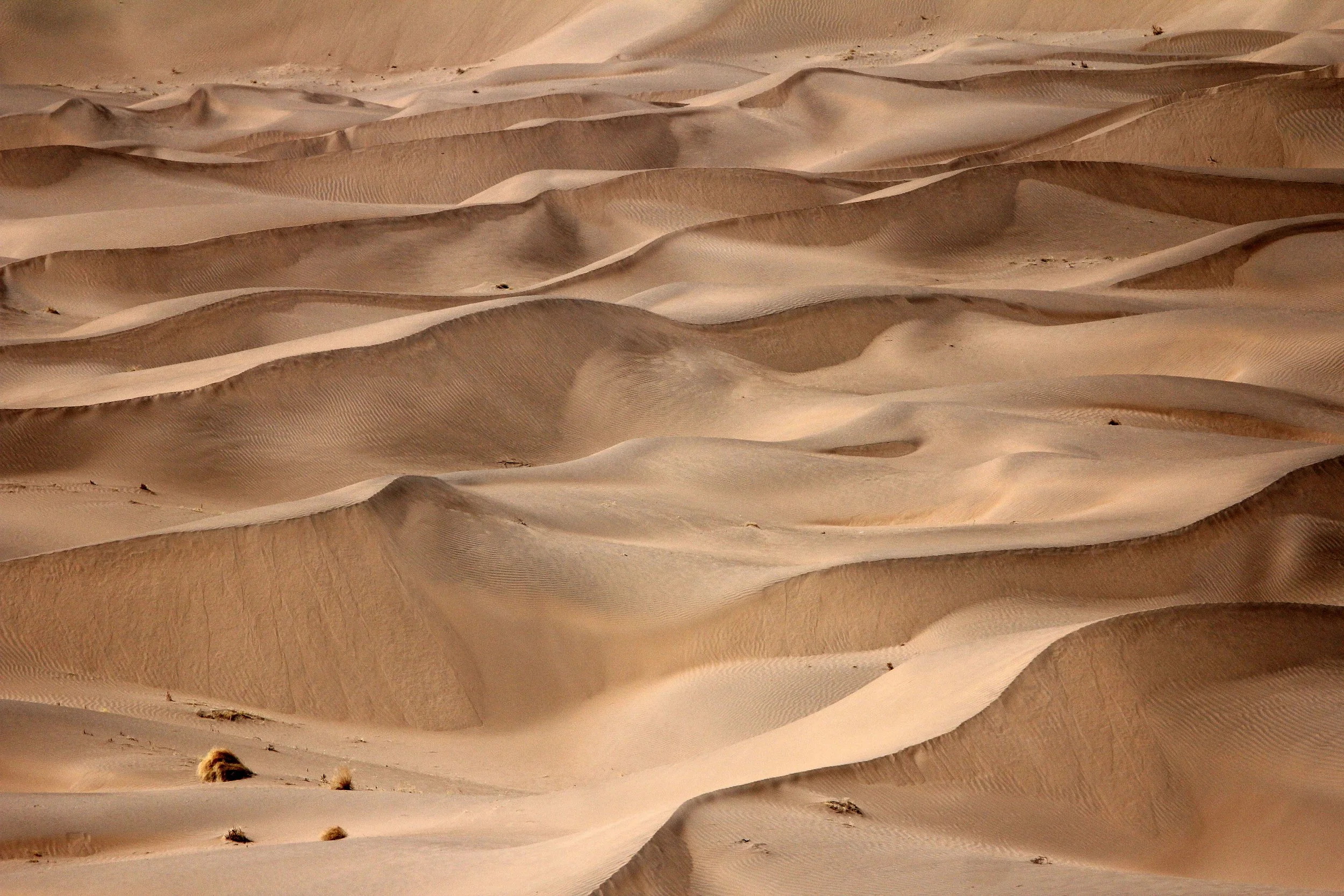 GANSU - DUNES SOUTH OF DUNHUANG - CHINA (26).JPG