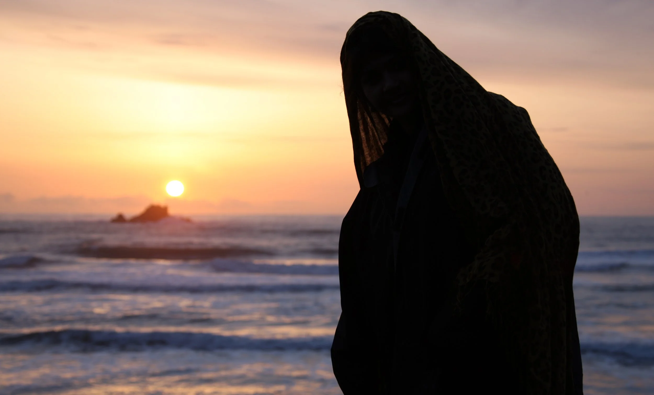 2010-3-29 REDWOODS NATIONAL PARK SUNSET - SPRING TRIP TO CAL 2010.JPG