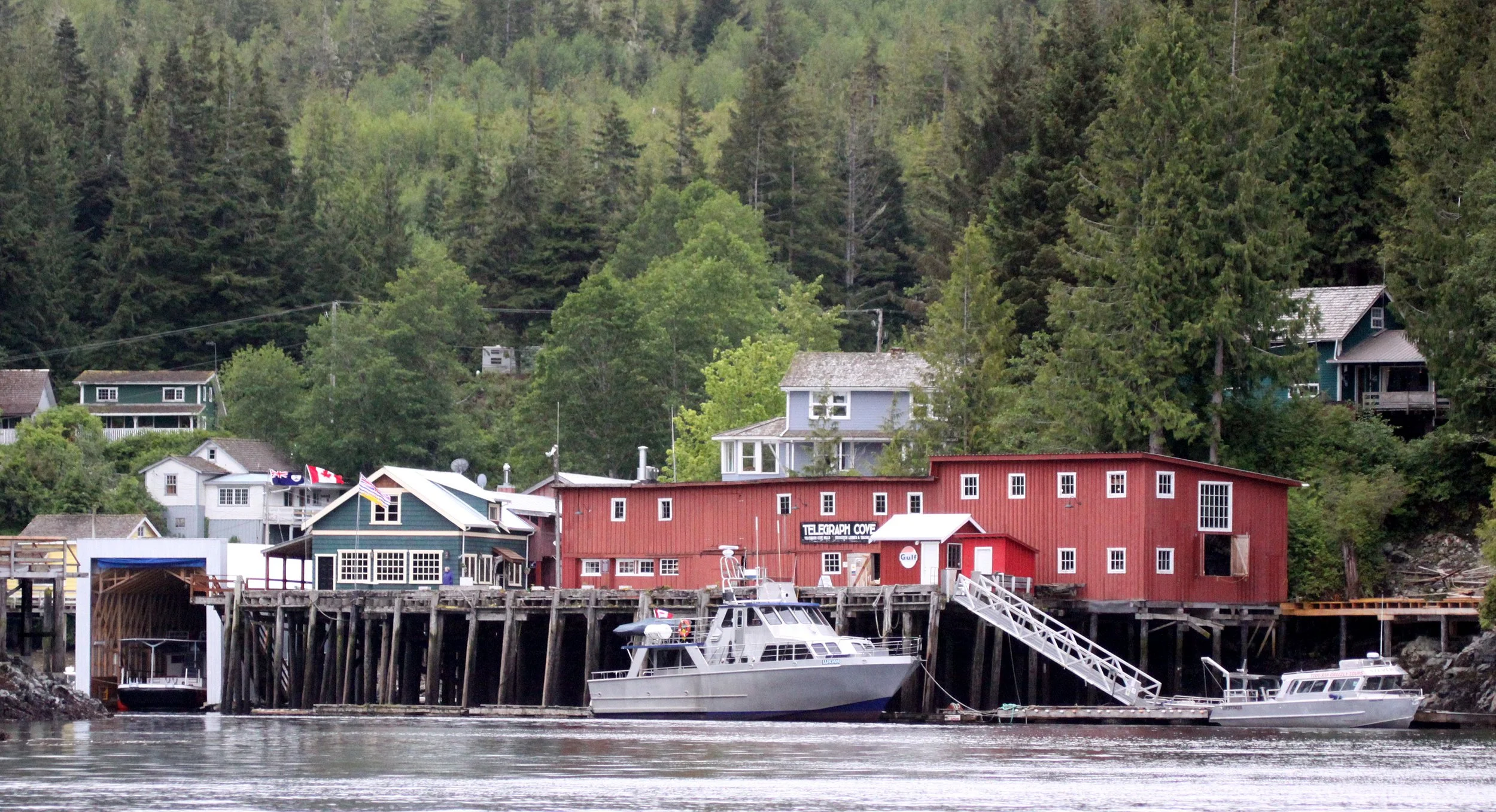TELEGRAPH COVE BC.JPG