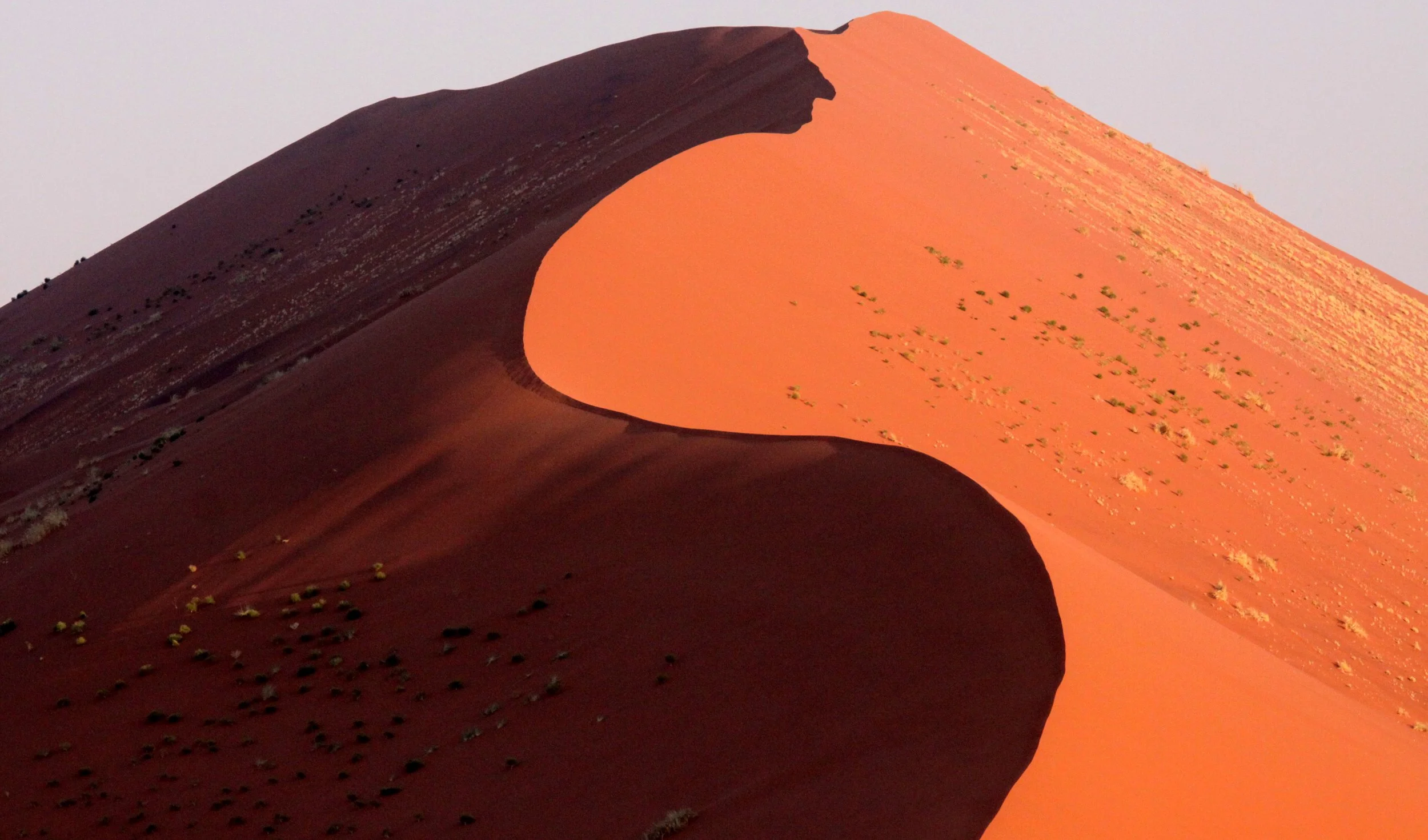 SOSSUSVLEI, NAMIB NAUKLUFT NATIONAL PARK, NAMIBIA (63).JPG