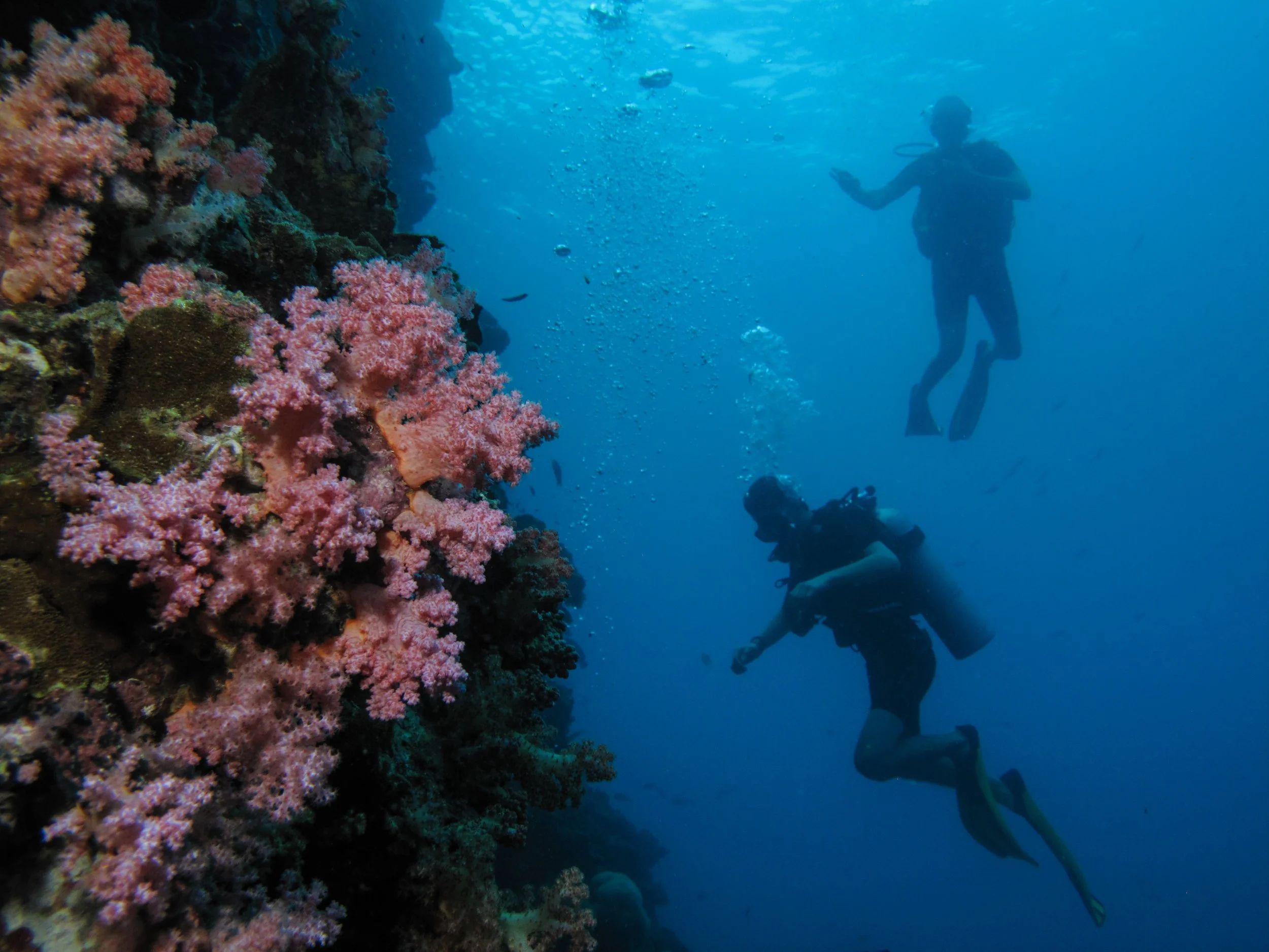 2013 Diving Koh Lanta (11).jpg