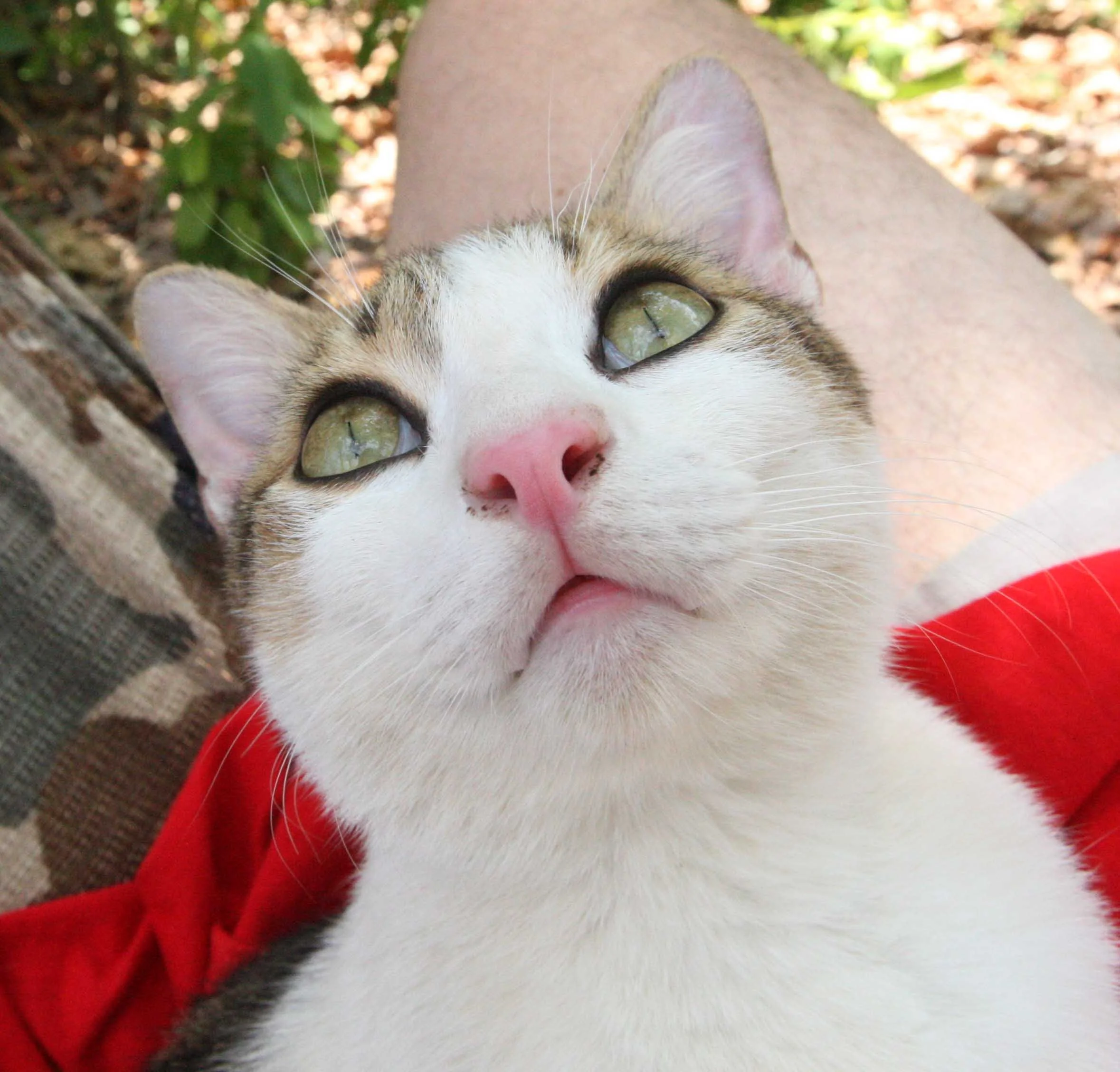 2015 Koh Lanta Songkran with friends from ISB (271).JPG