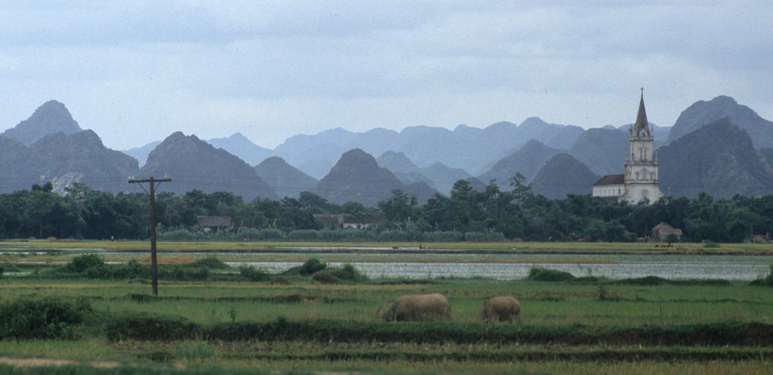 CUC PHUONG NP - ENTRY POINT.jpg