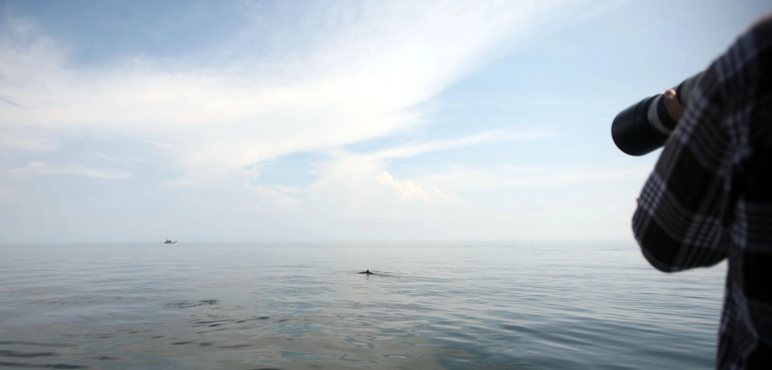 2014 Amphawa Trip to See Whales from Baan Taboon (36).JPG