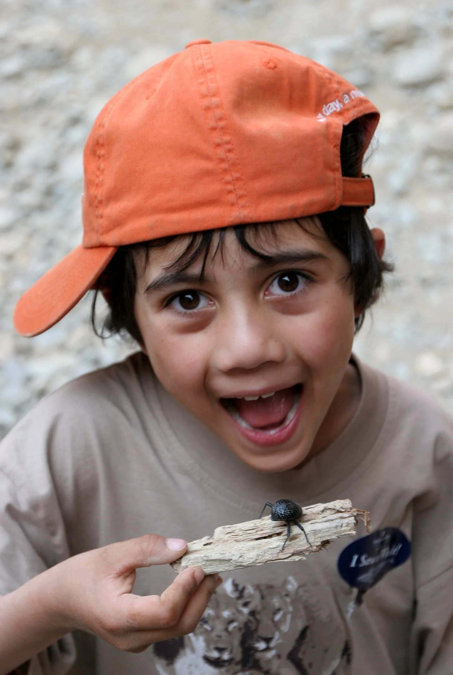NAMIBIA - SESRIEM CANYON - NAMIB NAUKLUFT NATIONAL PARK (13).JPG